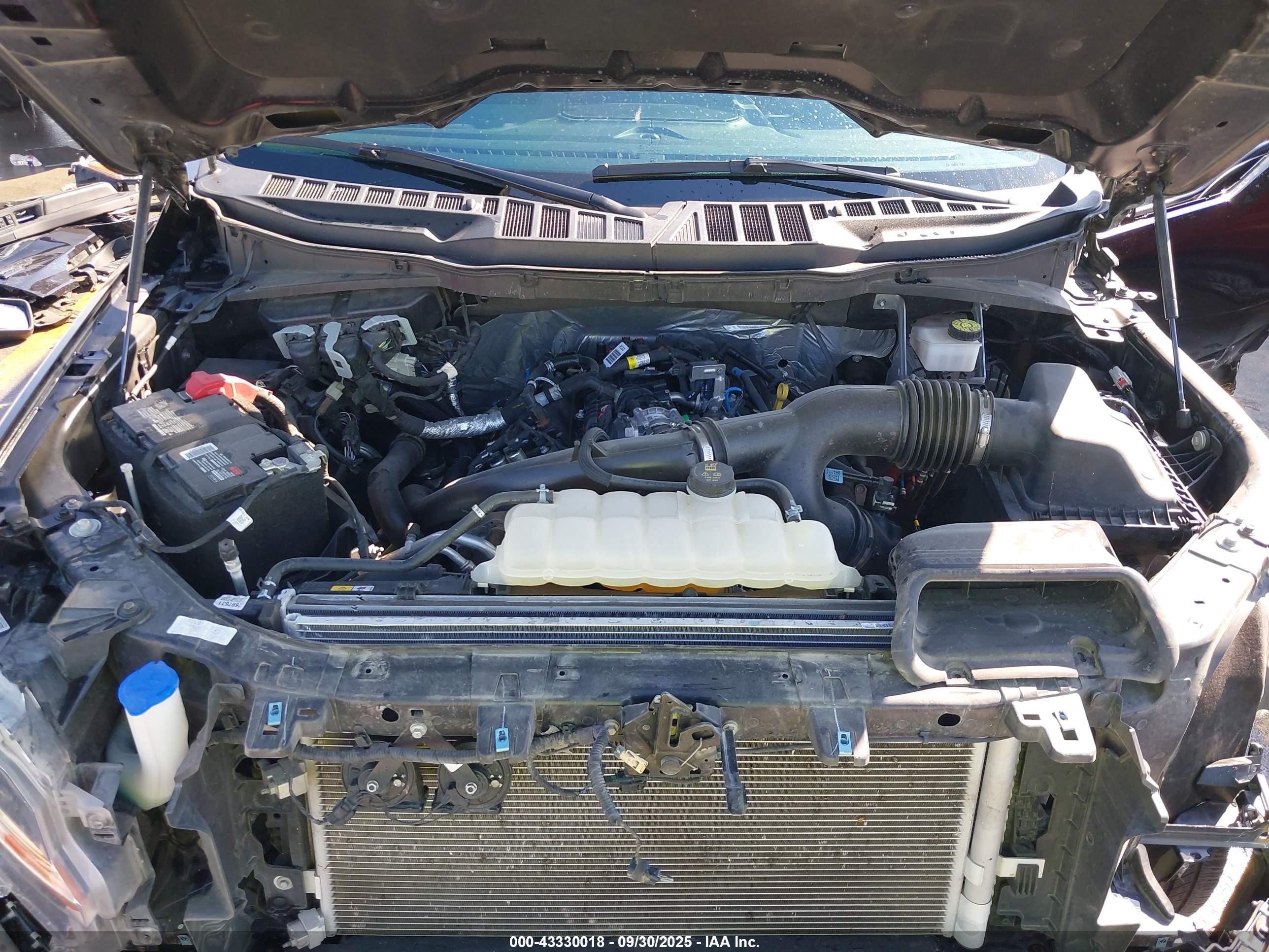 FORD F-150 image 10