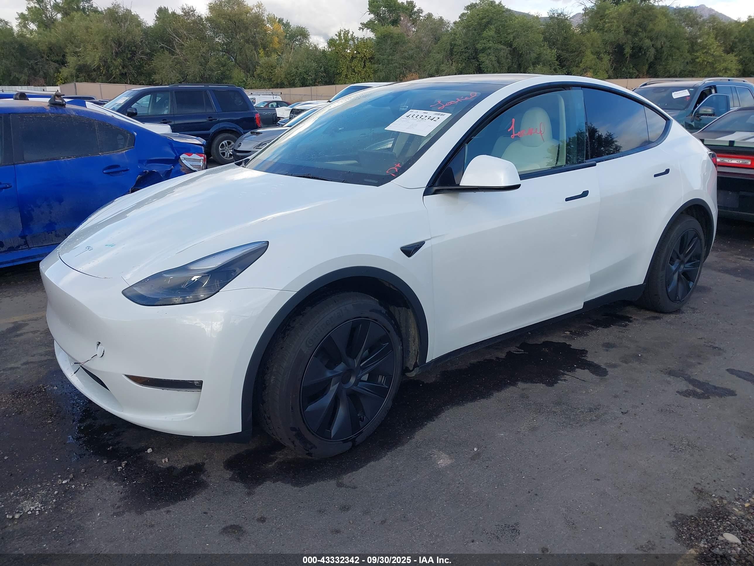 TESLA MODEL image 2