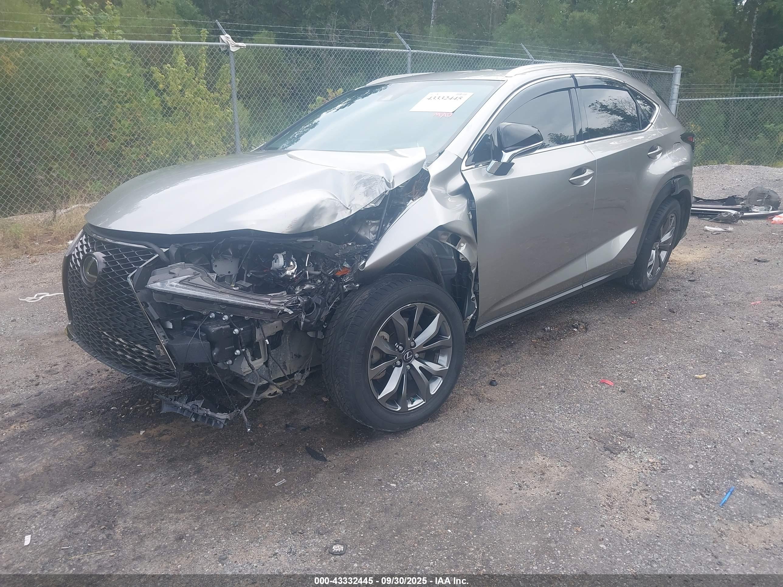 LEXUS NX image 2