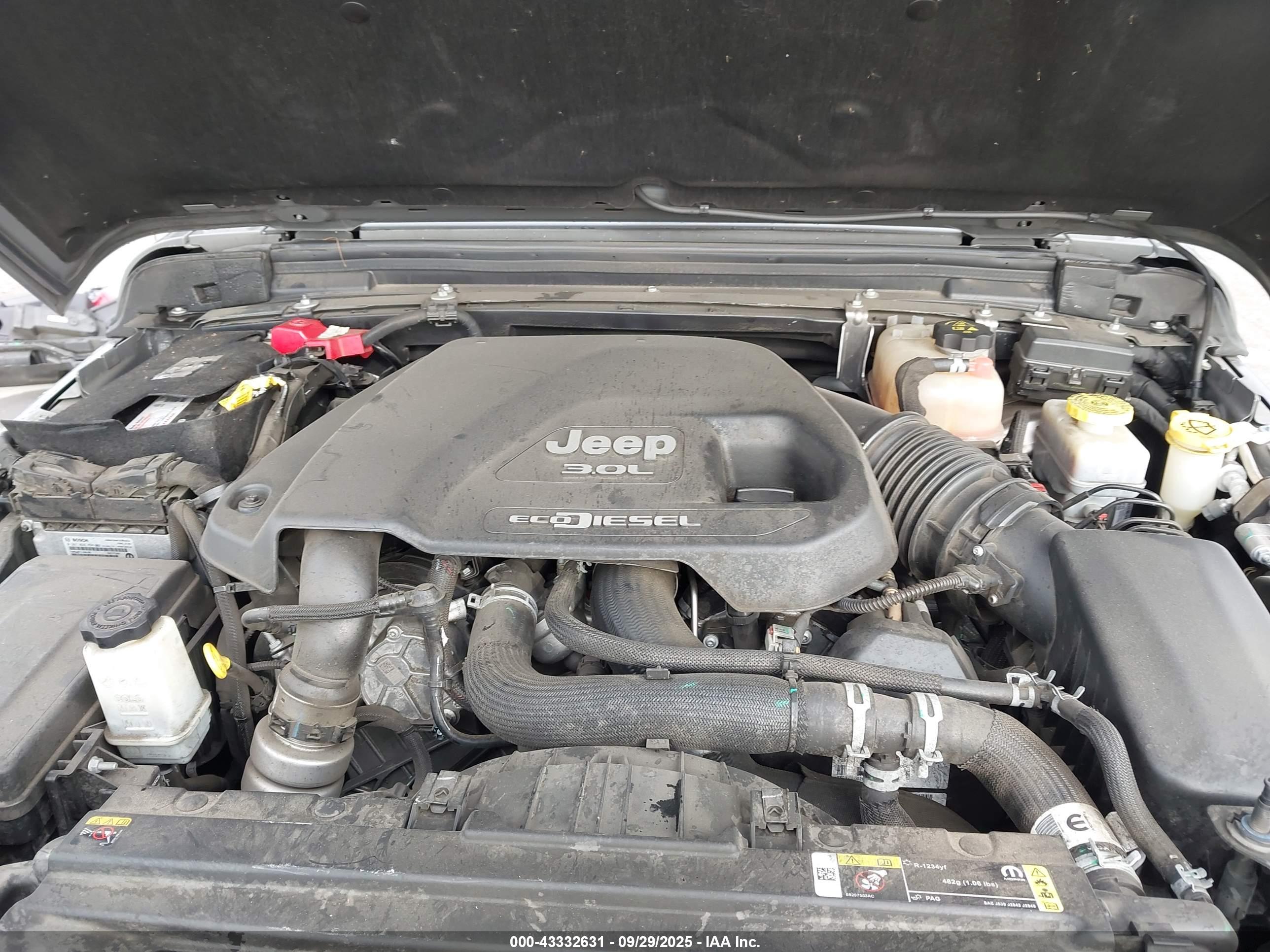 JEEP WRANGLER image 10