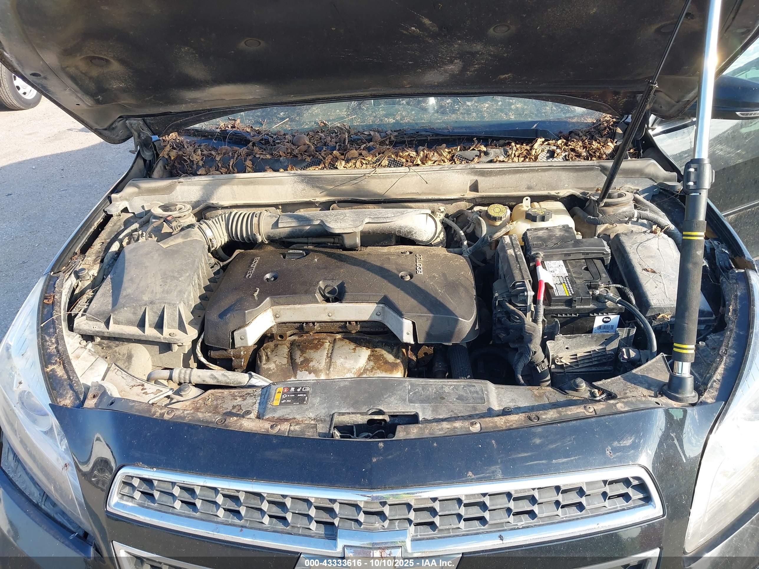 CHEVROLET MALIBU image 10