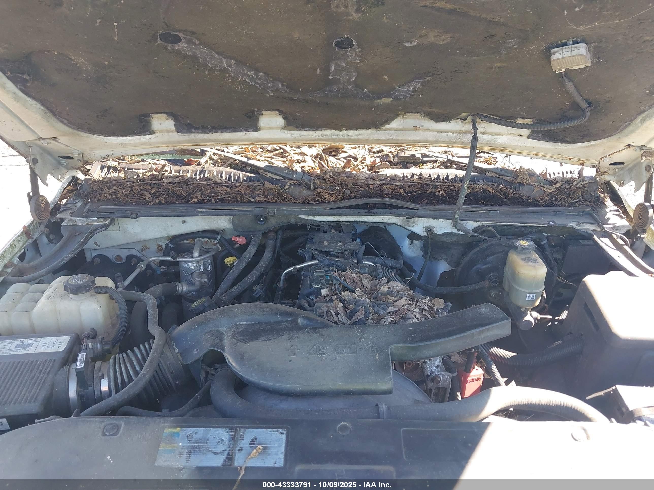 CHEVROLET SUBURBAN image 10