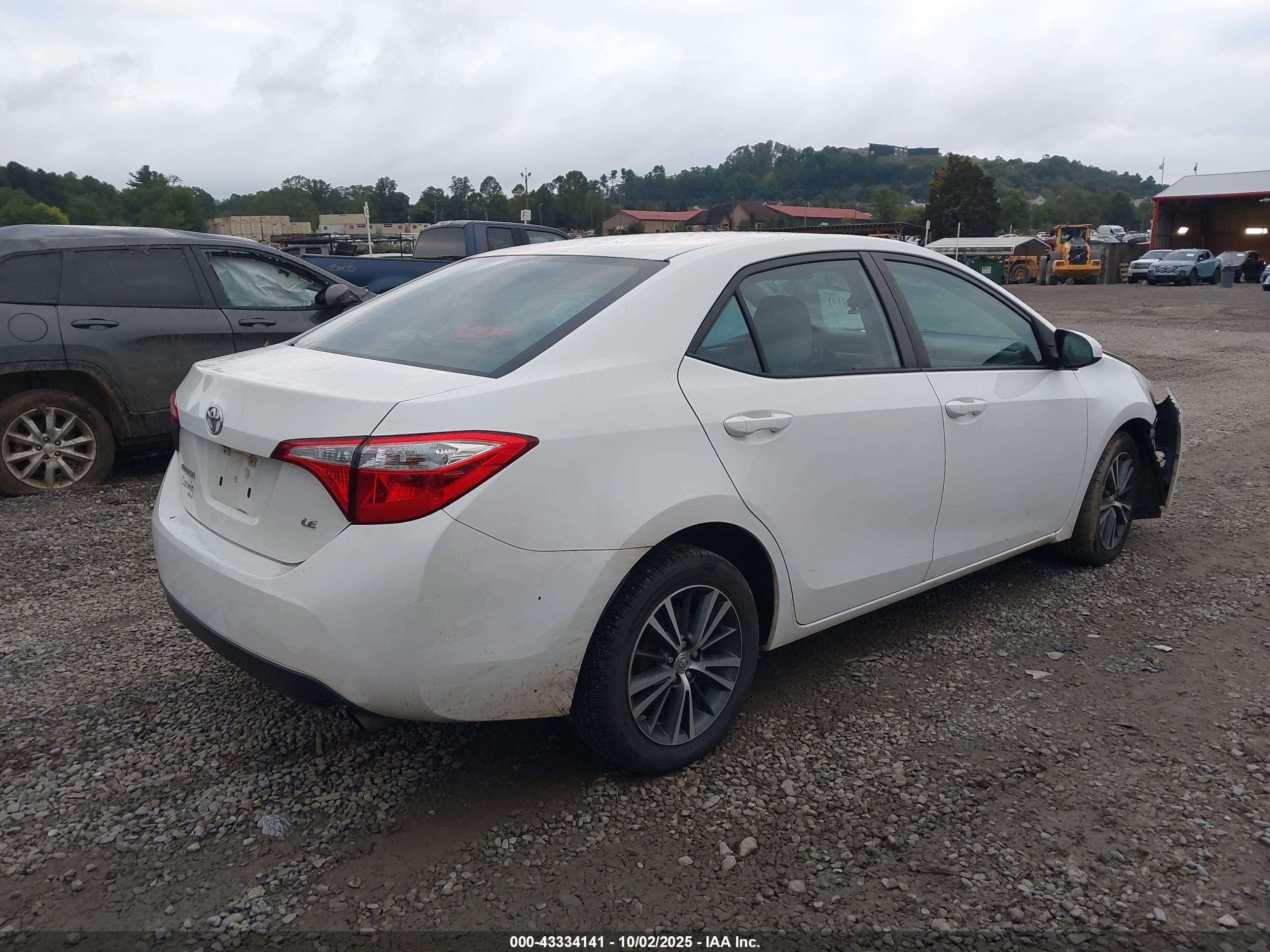 TOYOTA COROLLA image 4