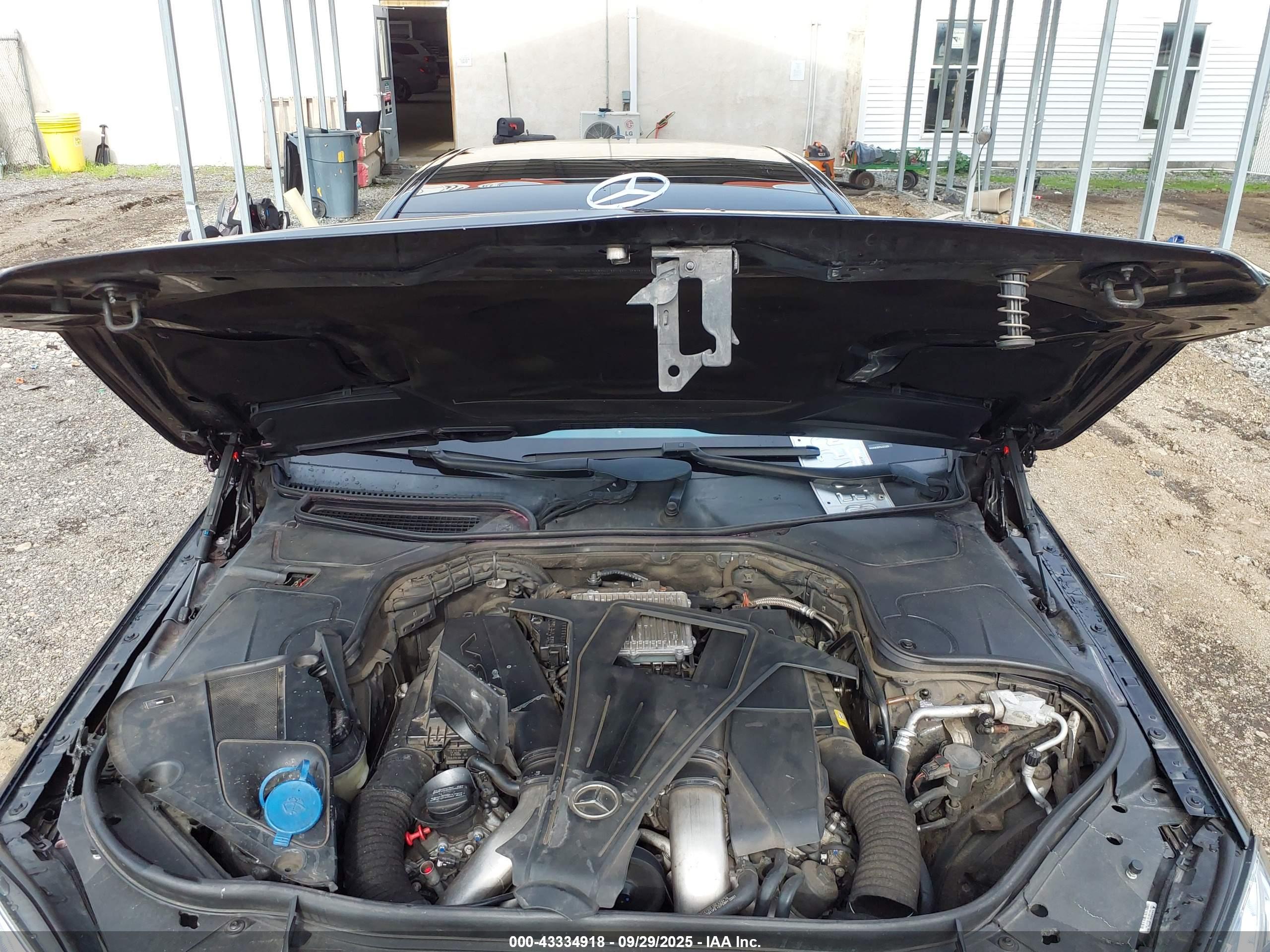 MERCEDES-BENZ S image 10