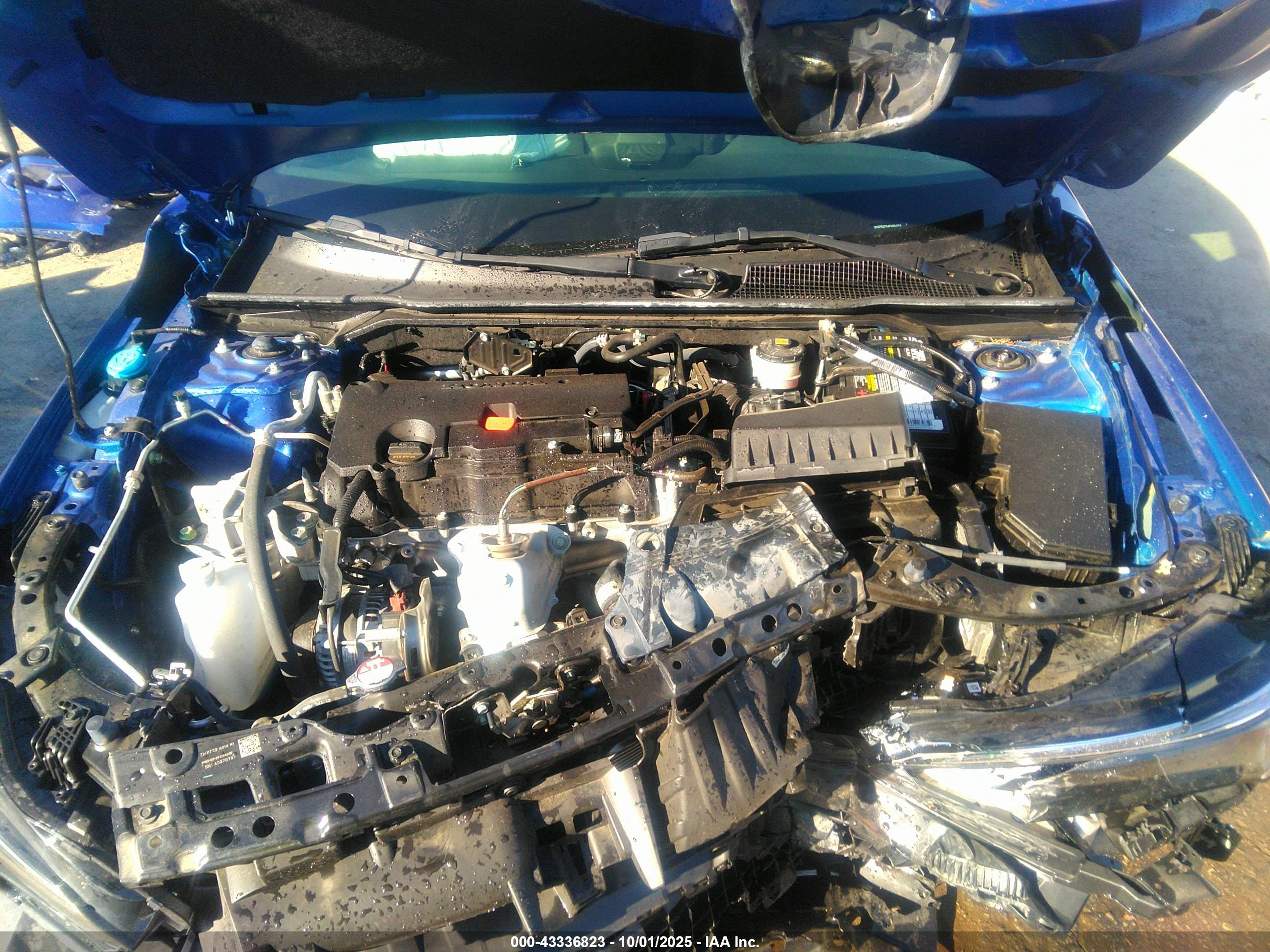 HONDA CIVIC image 10
