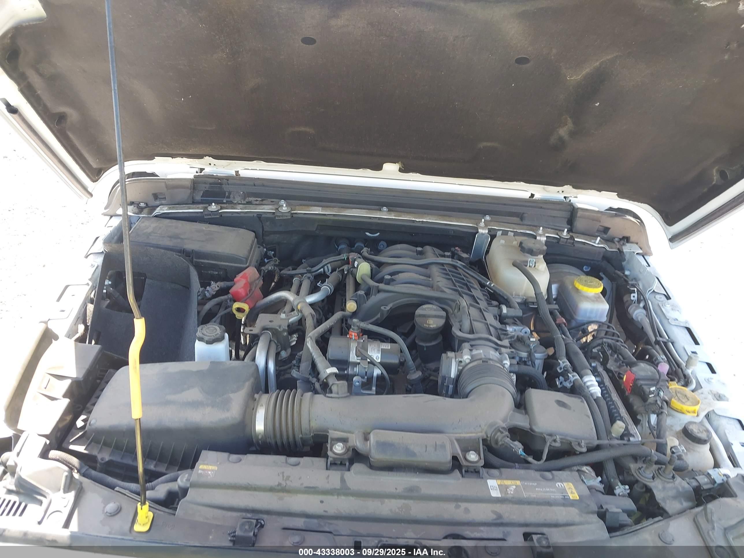 JEEP WRANGLER image 10