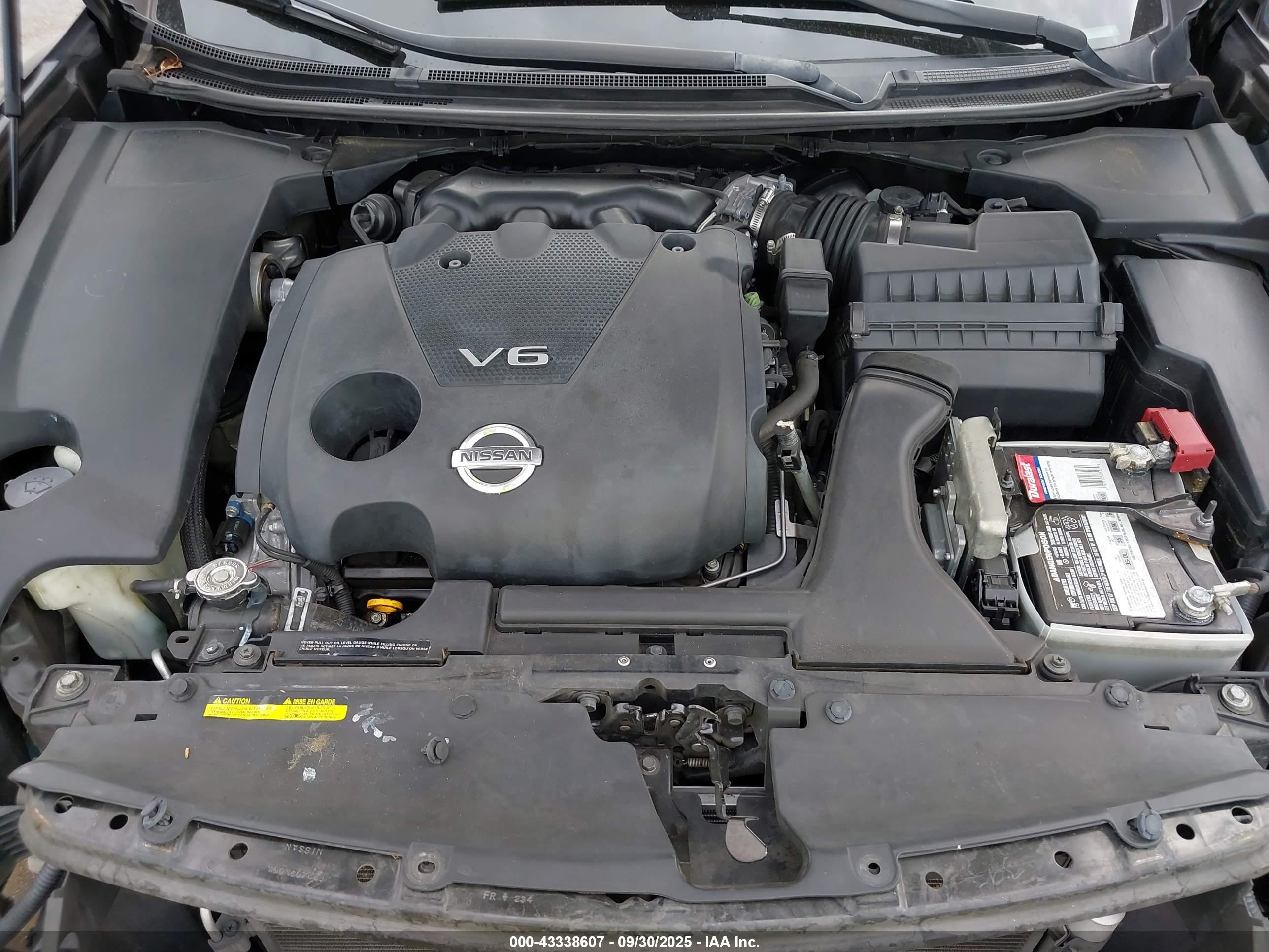 NISSAN MAXIMA image 10
