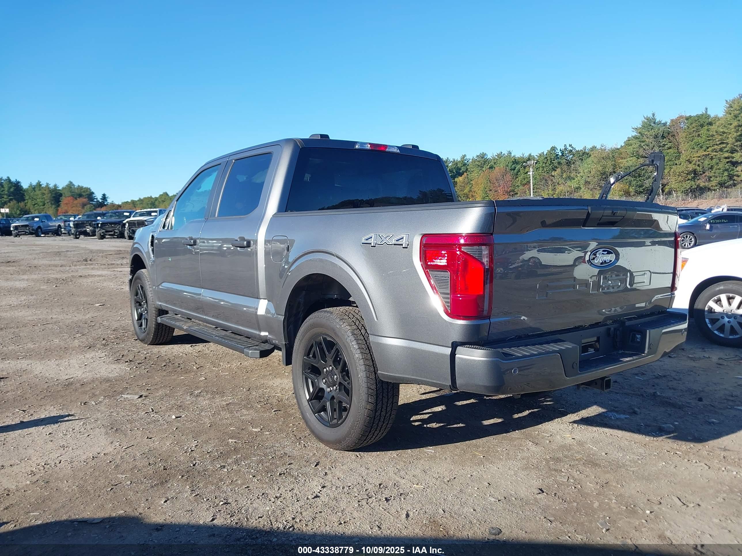 FORD F-150 image 3