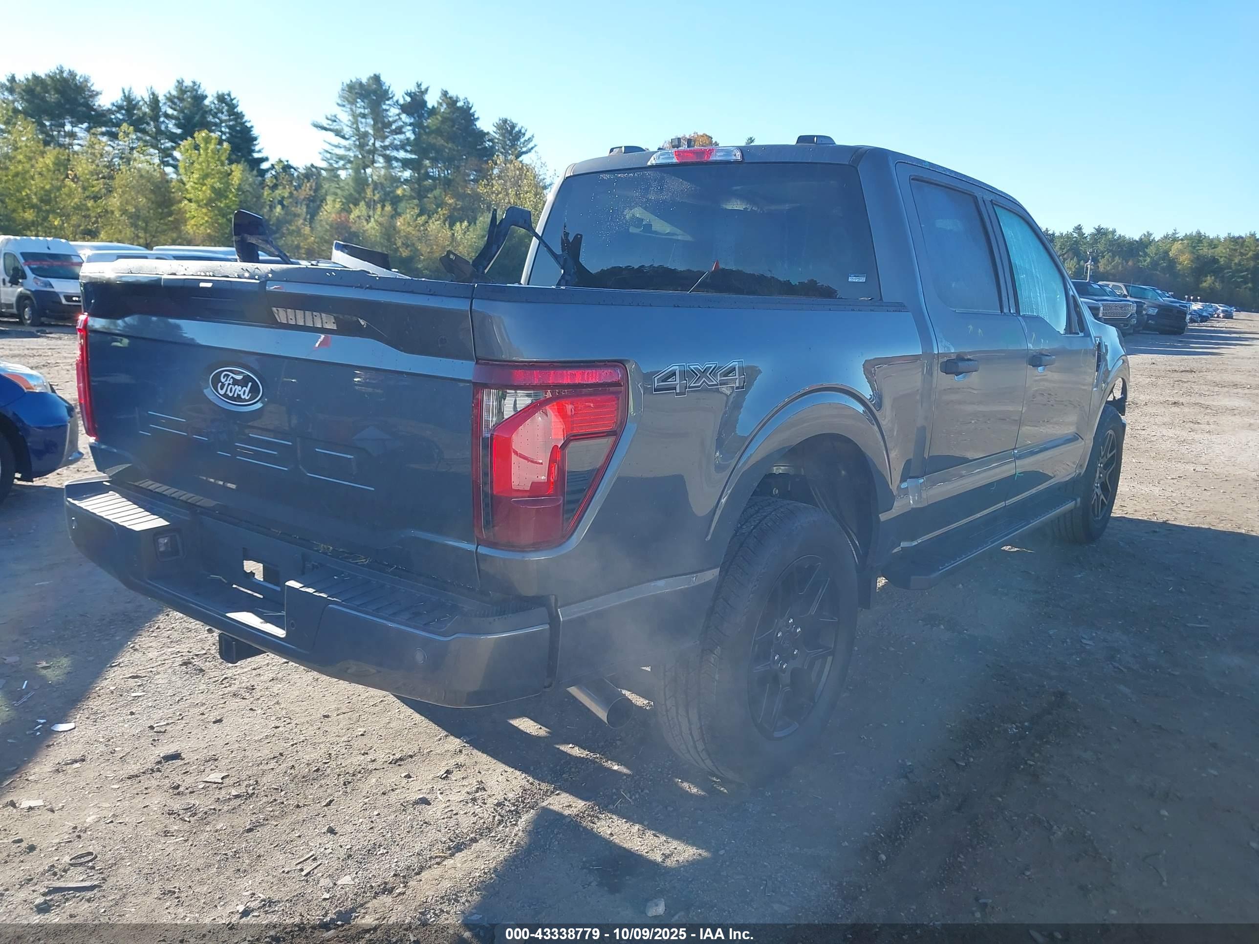 FORD F-150 image 4