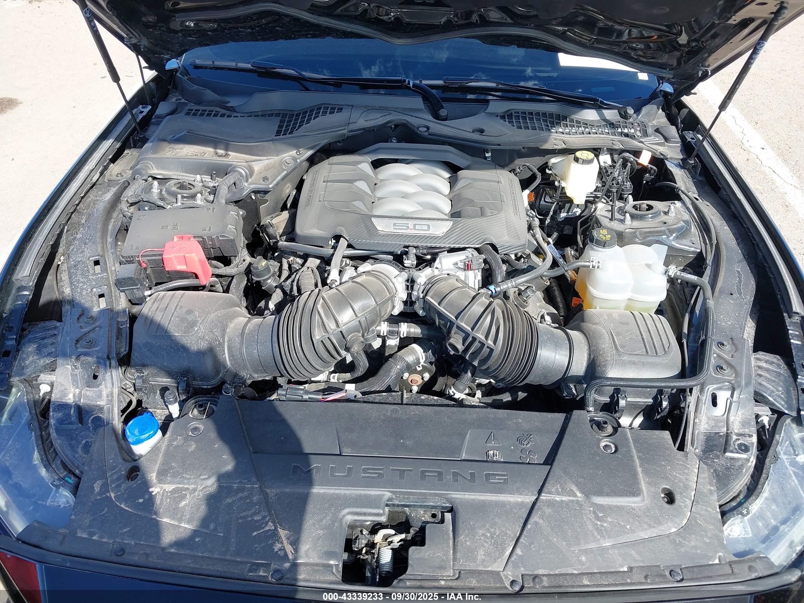FORD MUSTANG image 10
