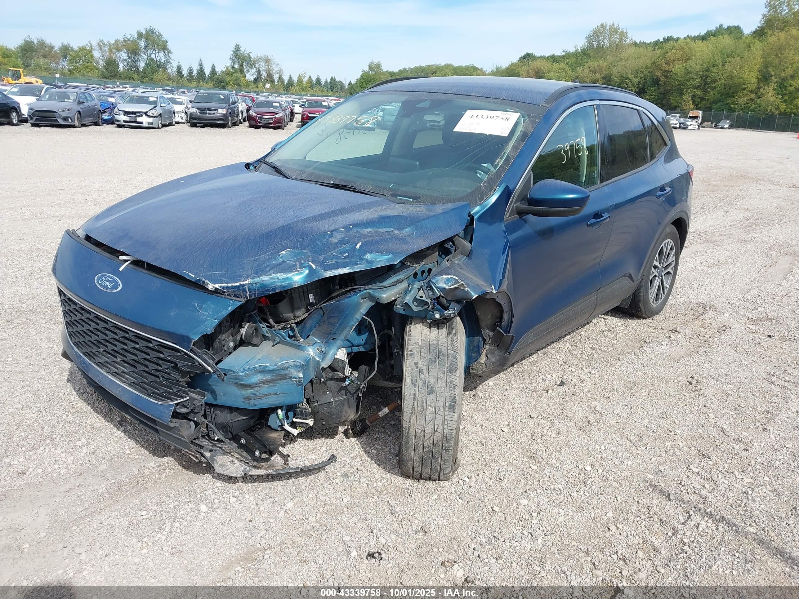 FORD ESCAPE image 2