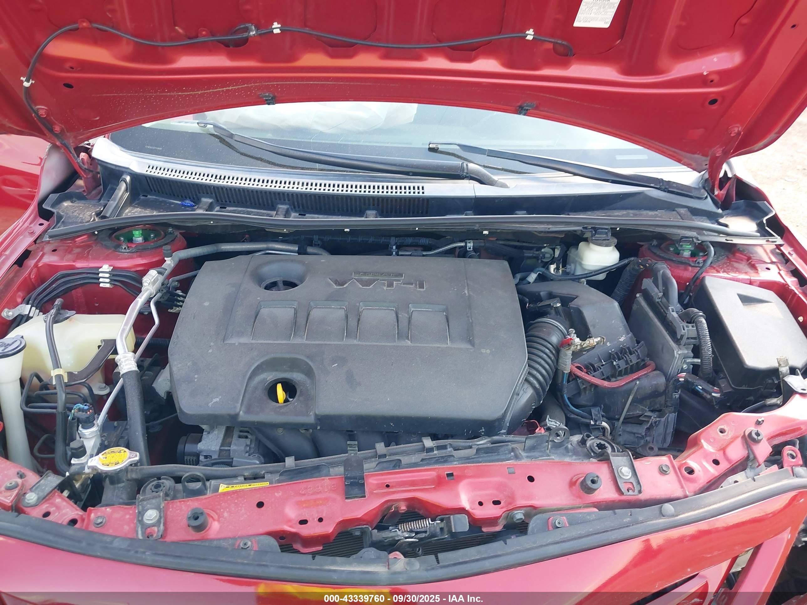 TOYOTA COROLLA image 10