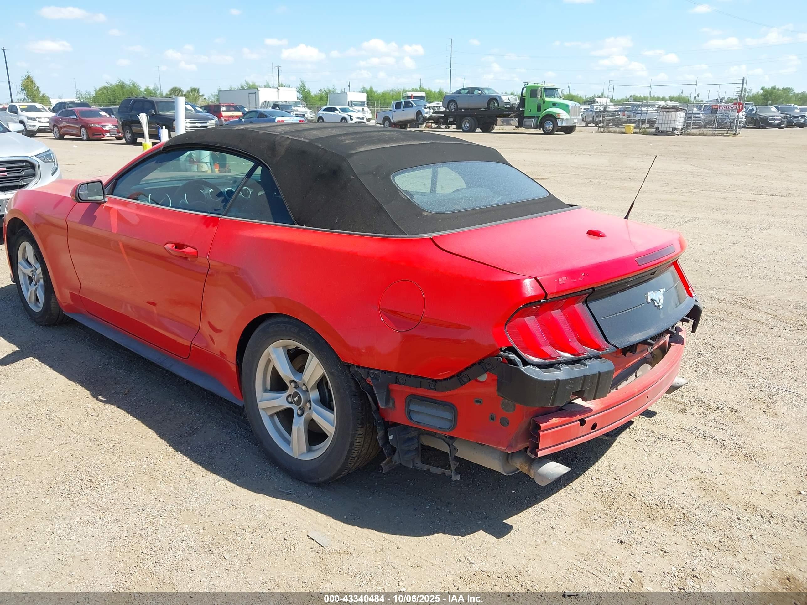 FORD MUSTANG image 3