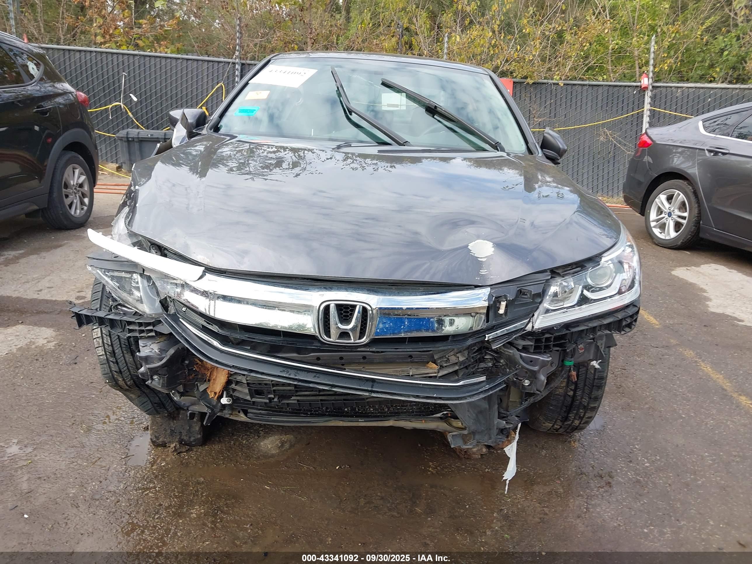 HONDA ACCORD image 6