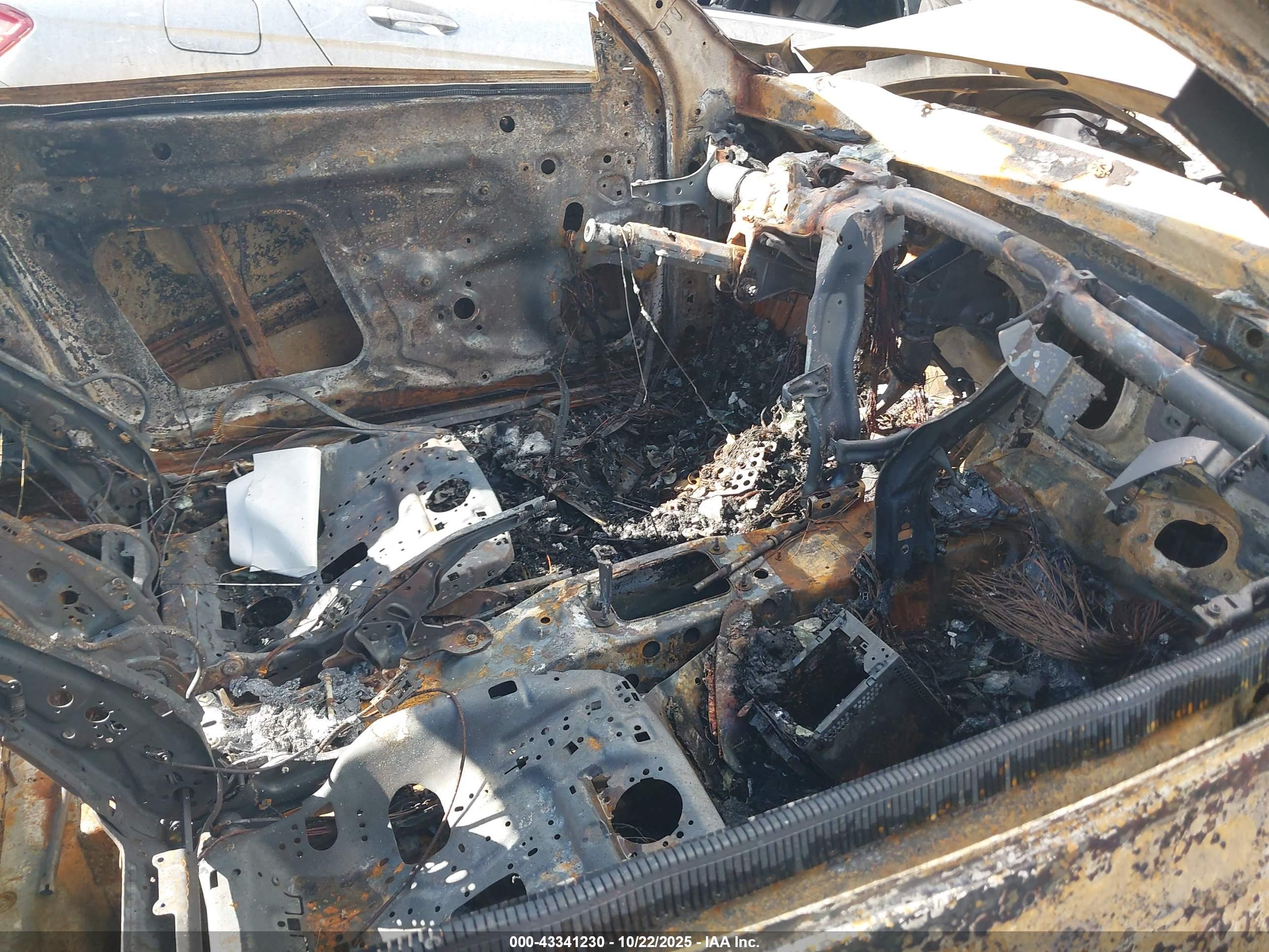 VOLKSWAGEN BEETLE image 5