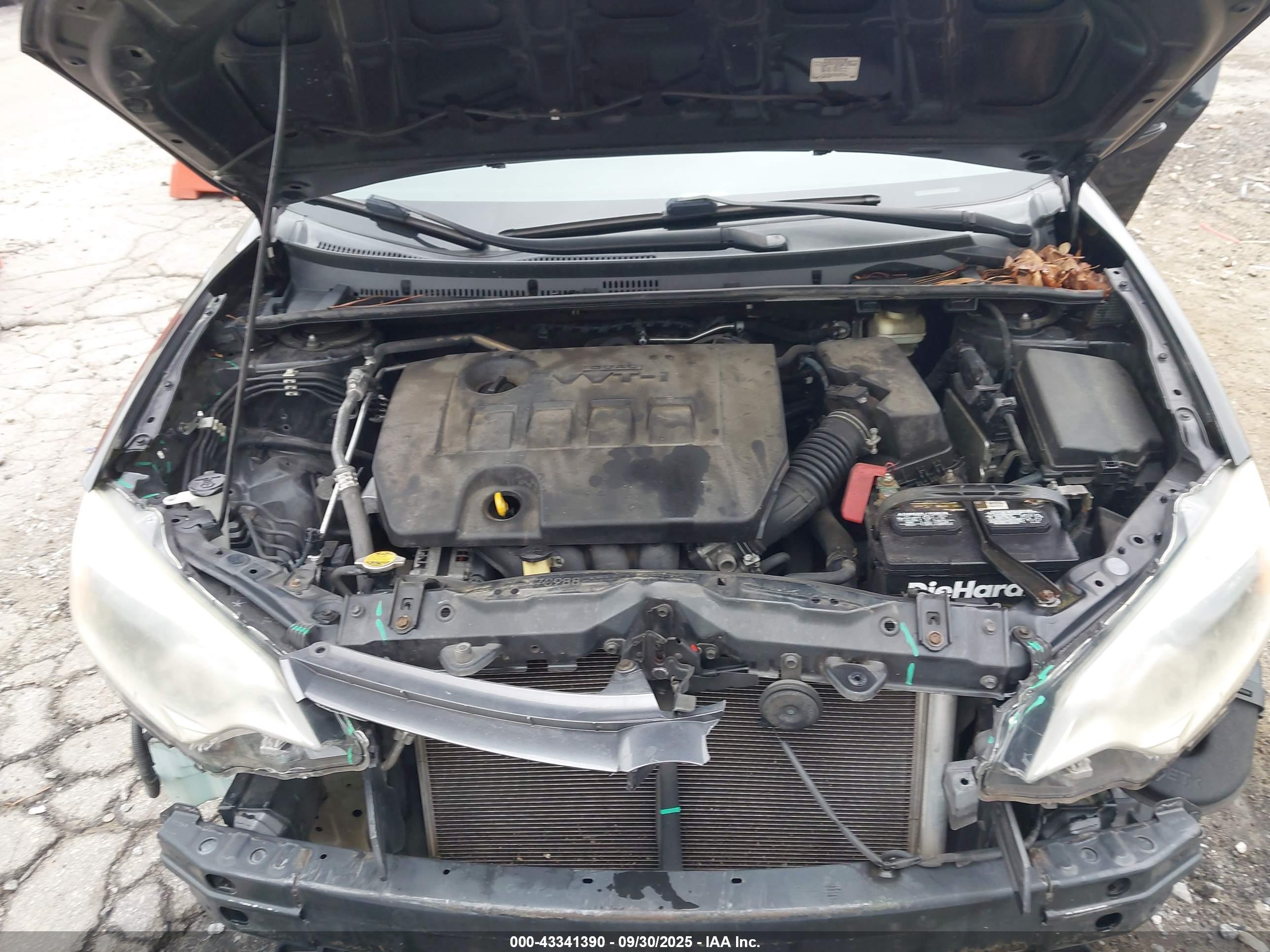 TOYOTA COROLLA image 10