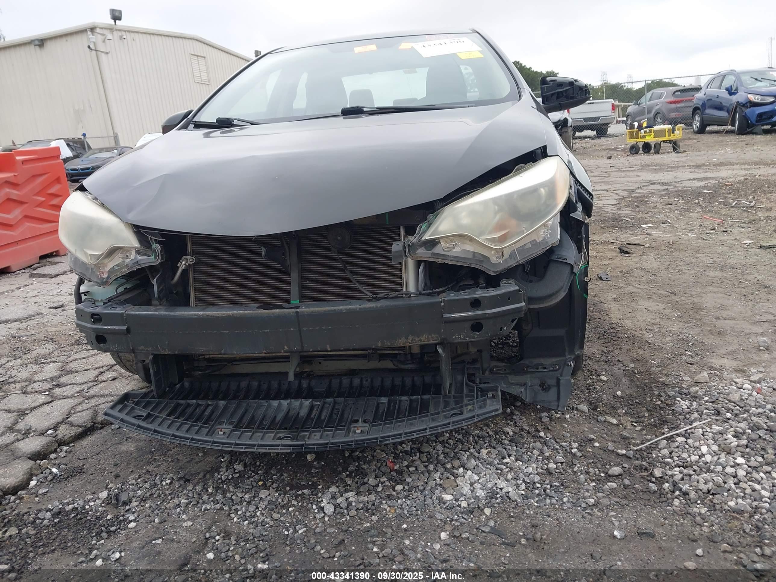 TOYOTA COROLLA image 6