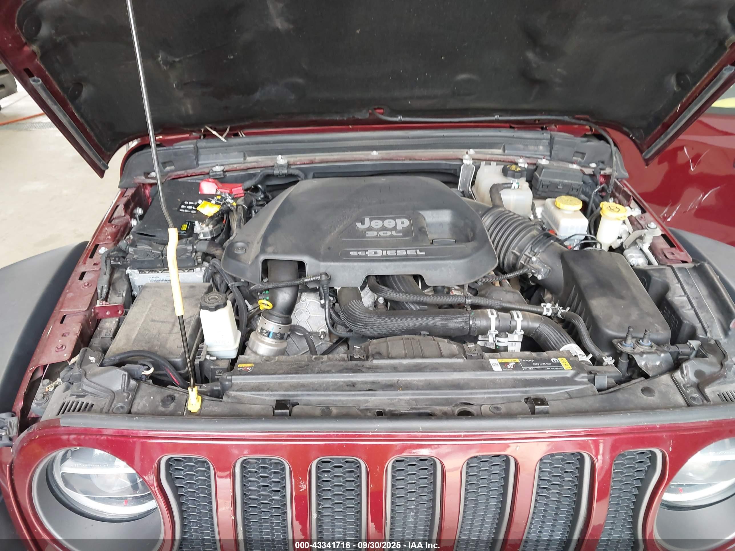 JEEP WRANGLER image 10