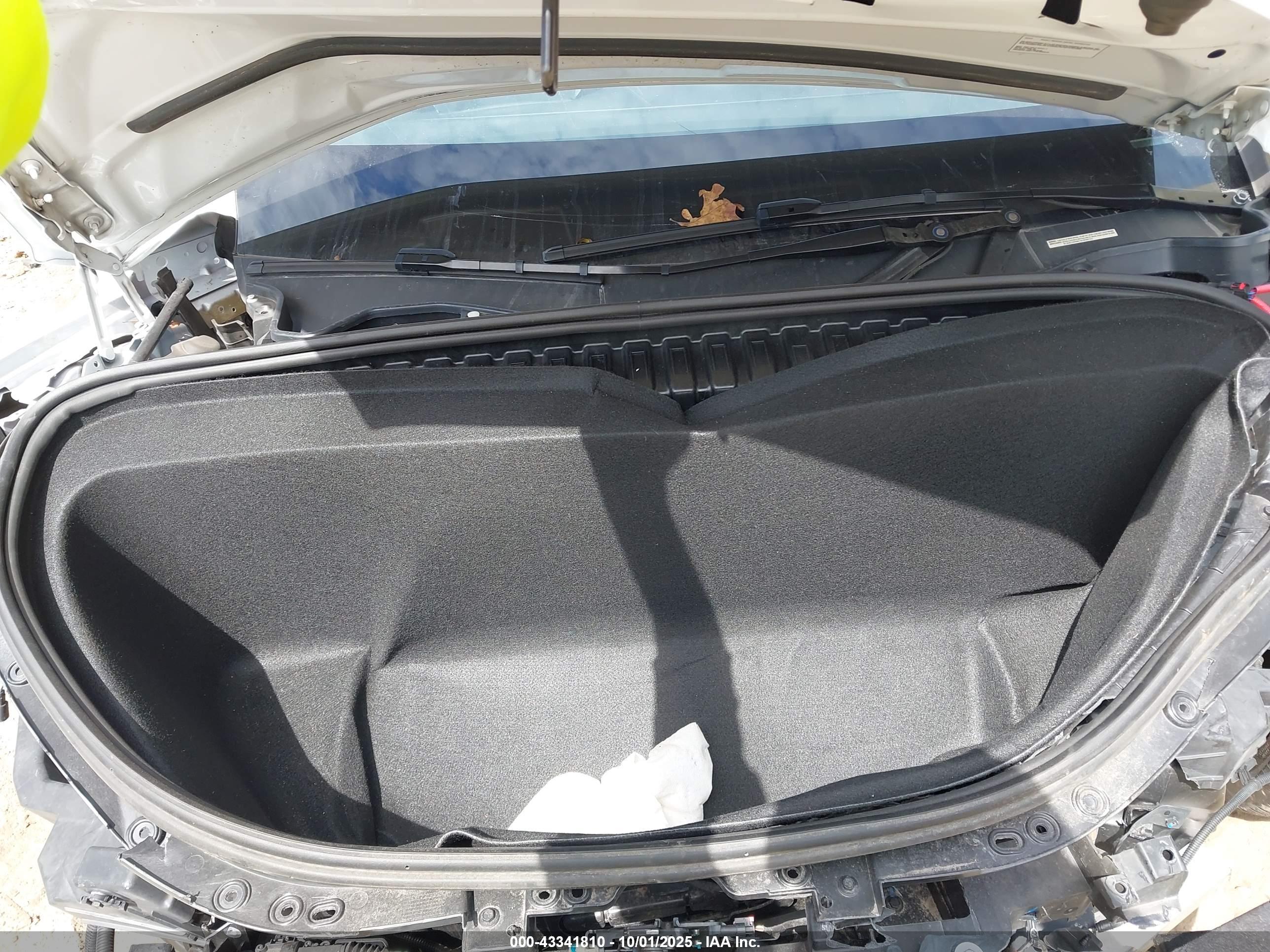 TESLA MODEL image 10