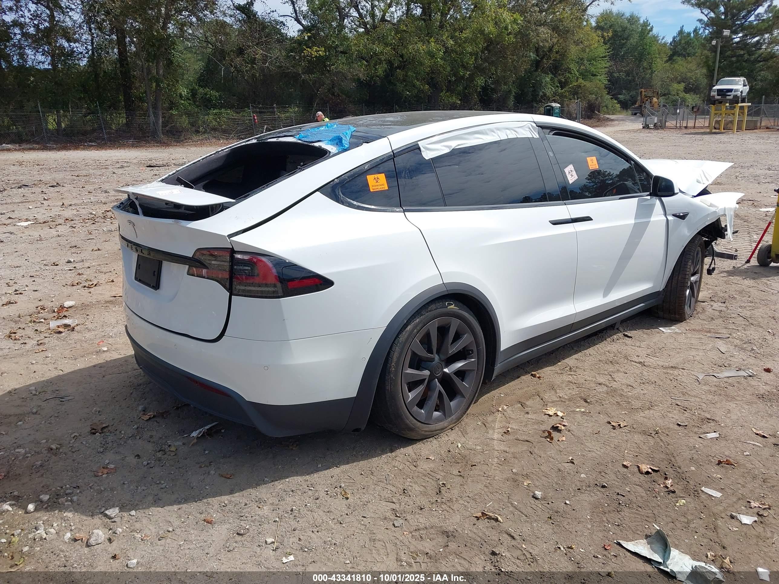 TESLA MODEL image 4