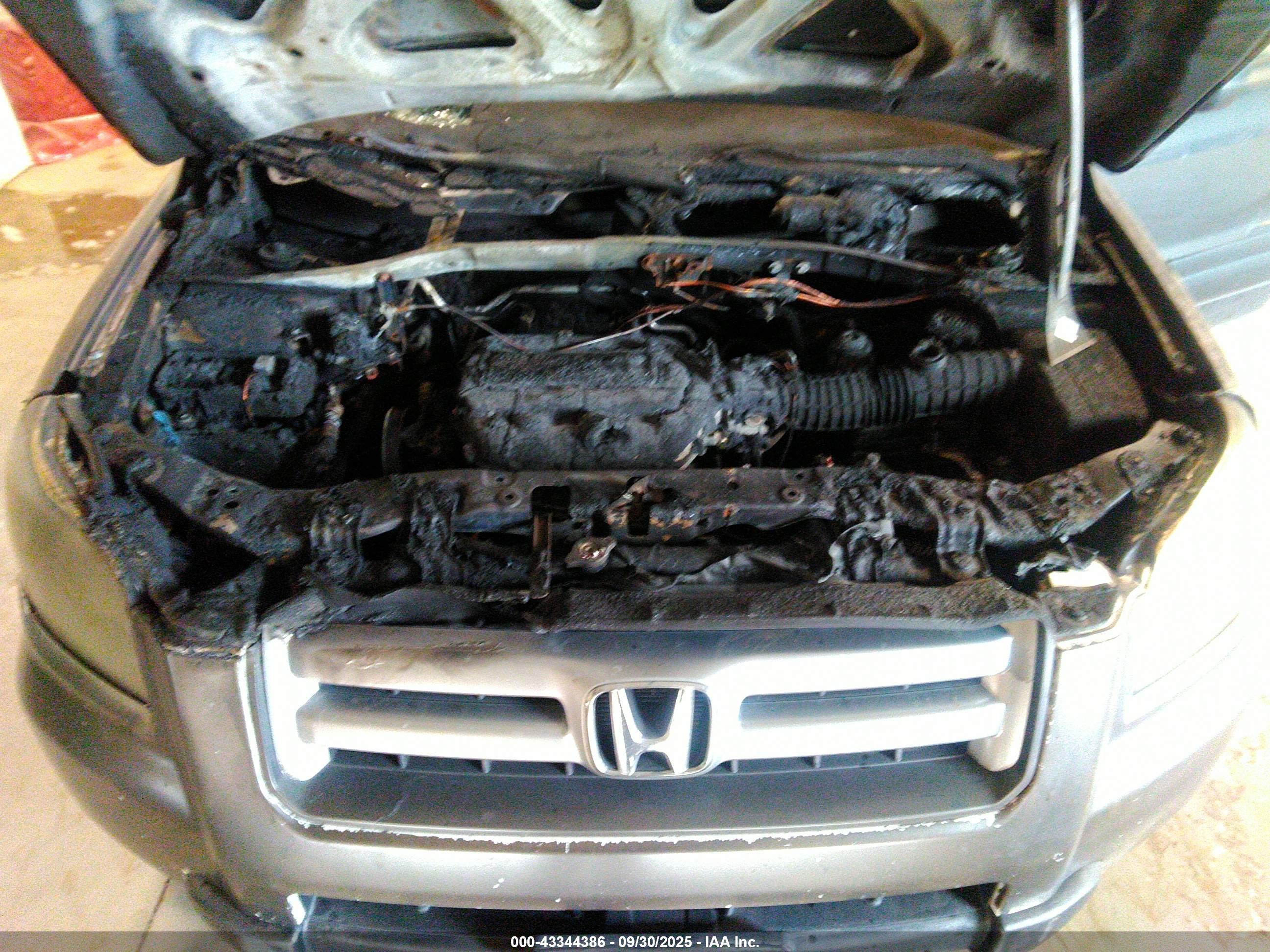 HONDA PILOT image 10