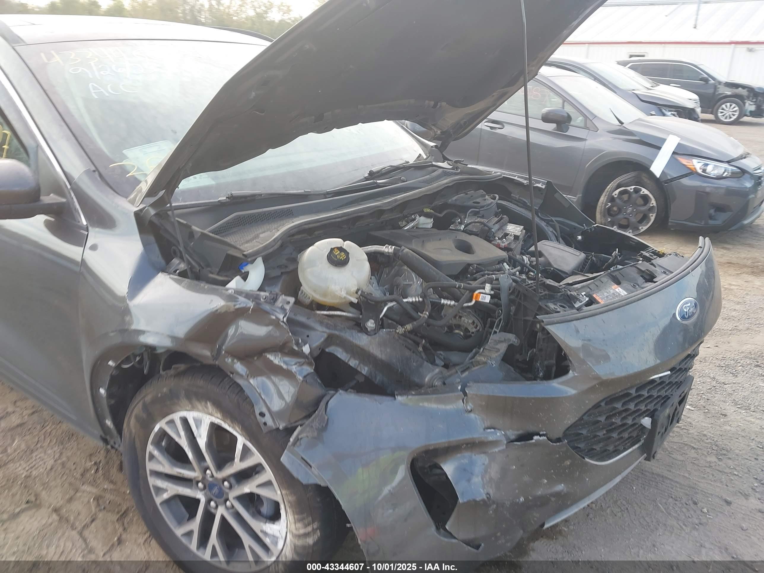FORD ESCAPE image 6
