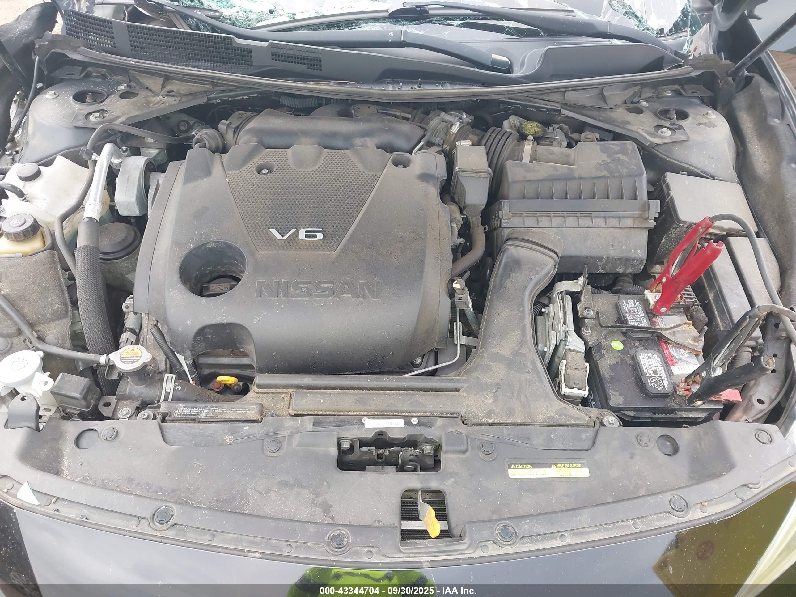 NISSAN MAXIMA image 10
