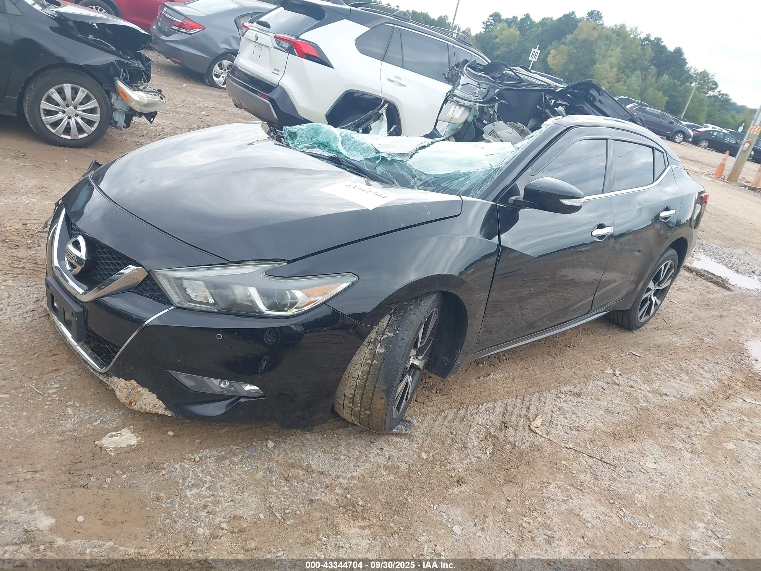 NISSAN MAXIMA image 2