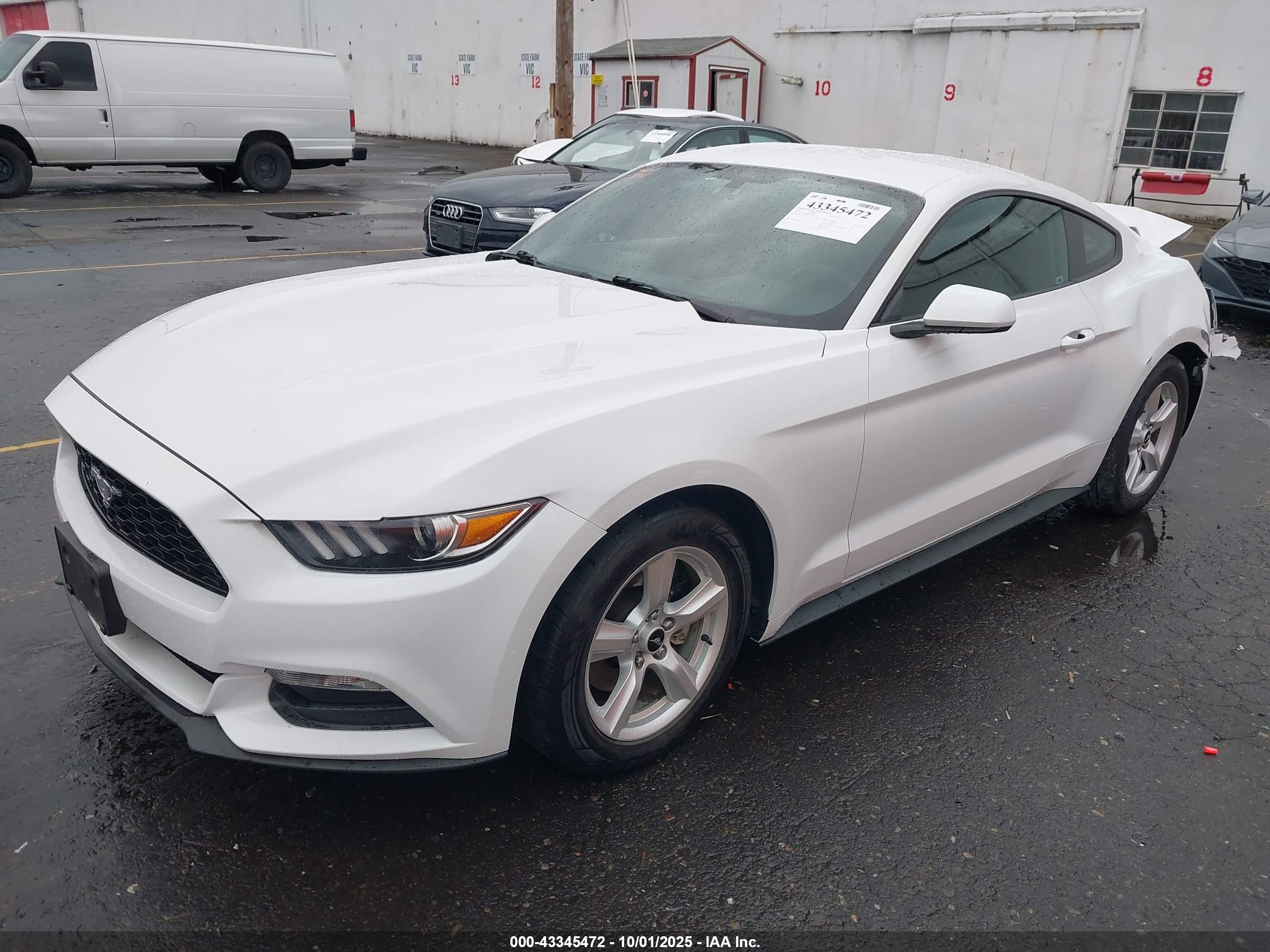 FORD MUSTANG image 2