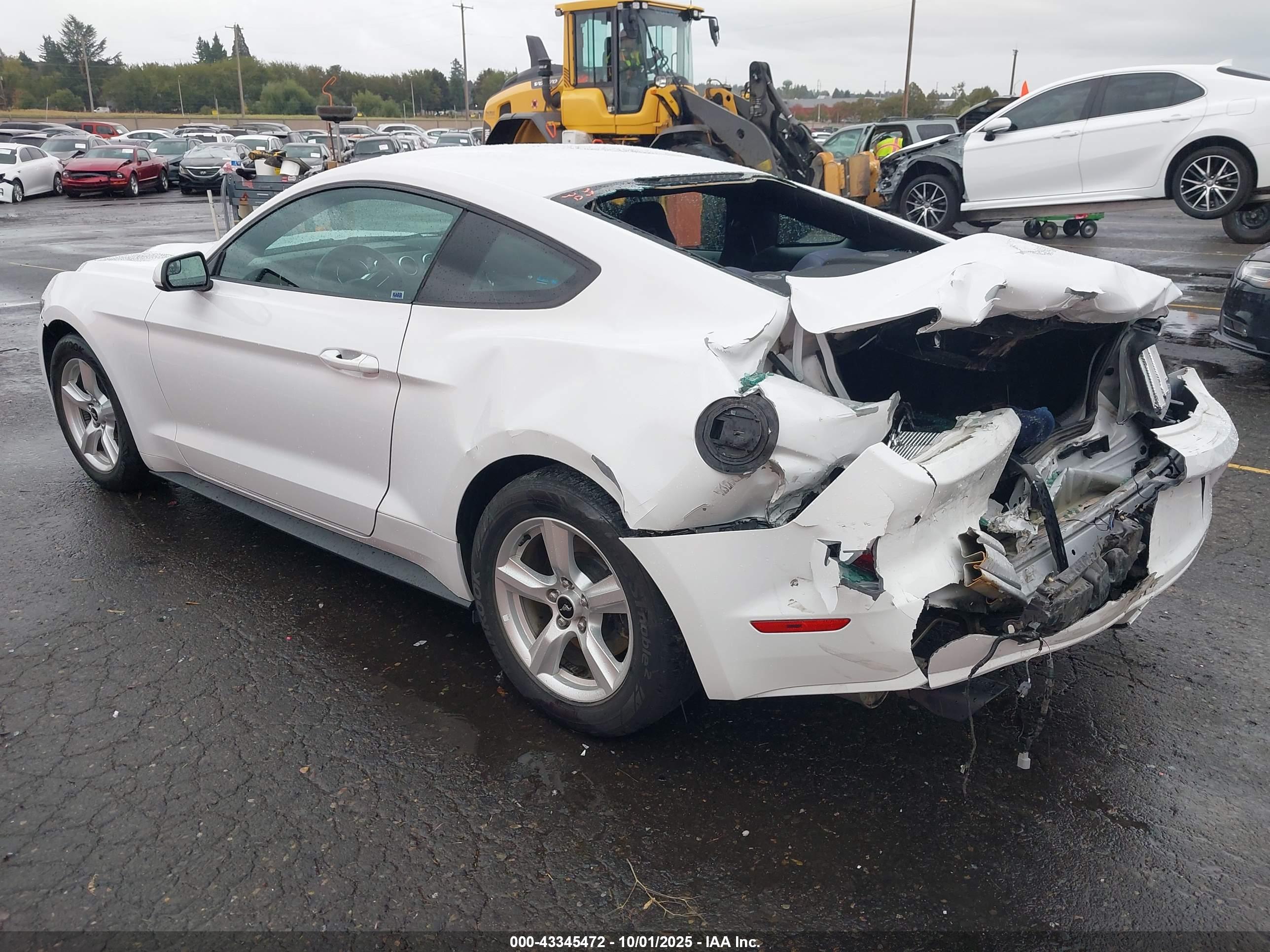 FORD MUSTANG image 3