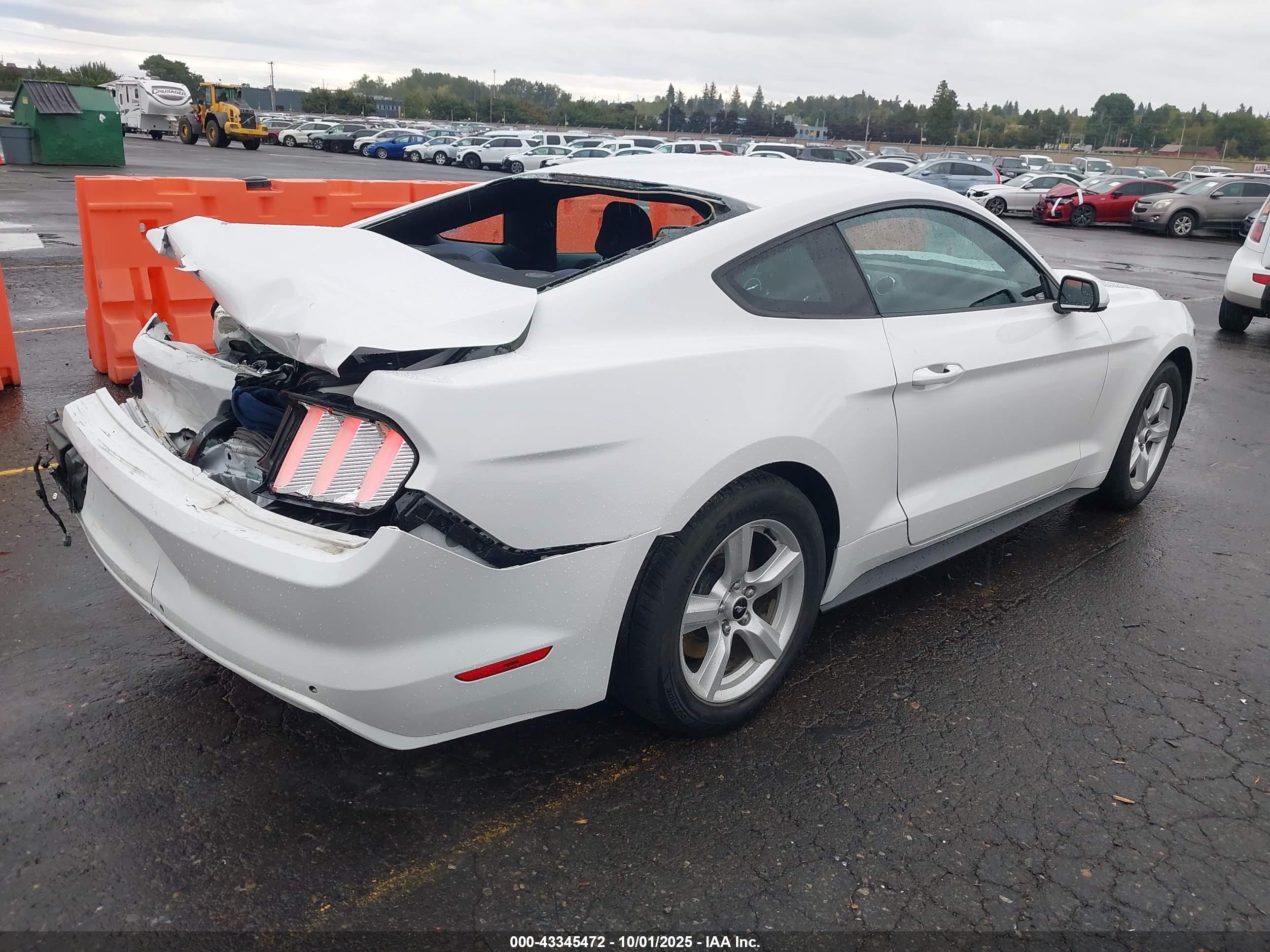 FORD MUSTANG image 4