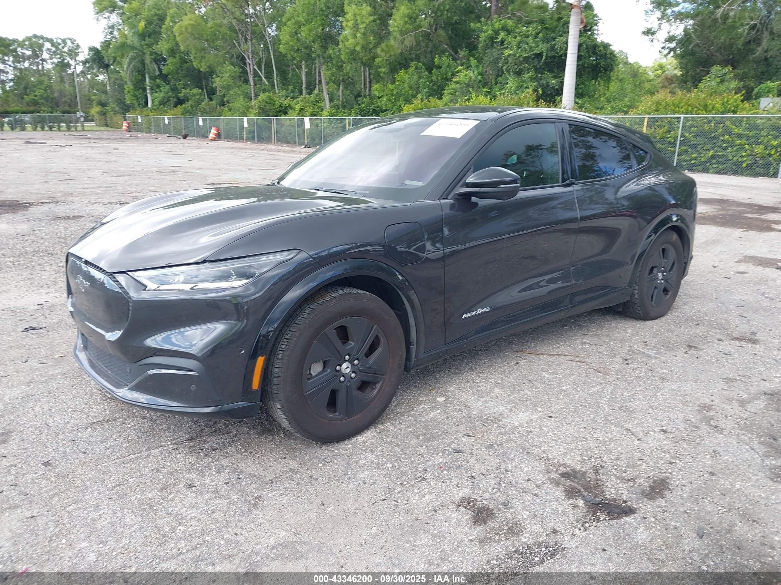 FORD MUSTANG image 2