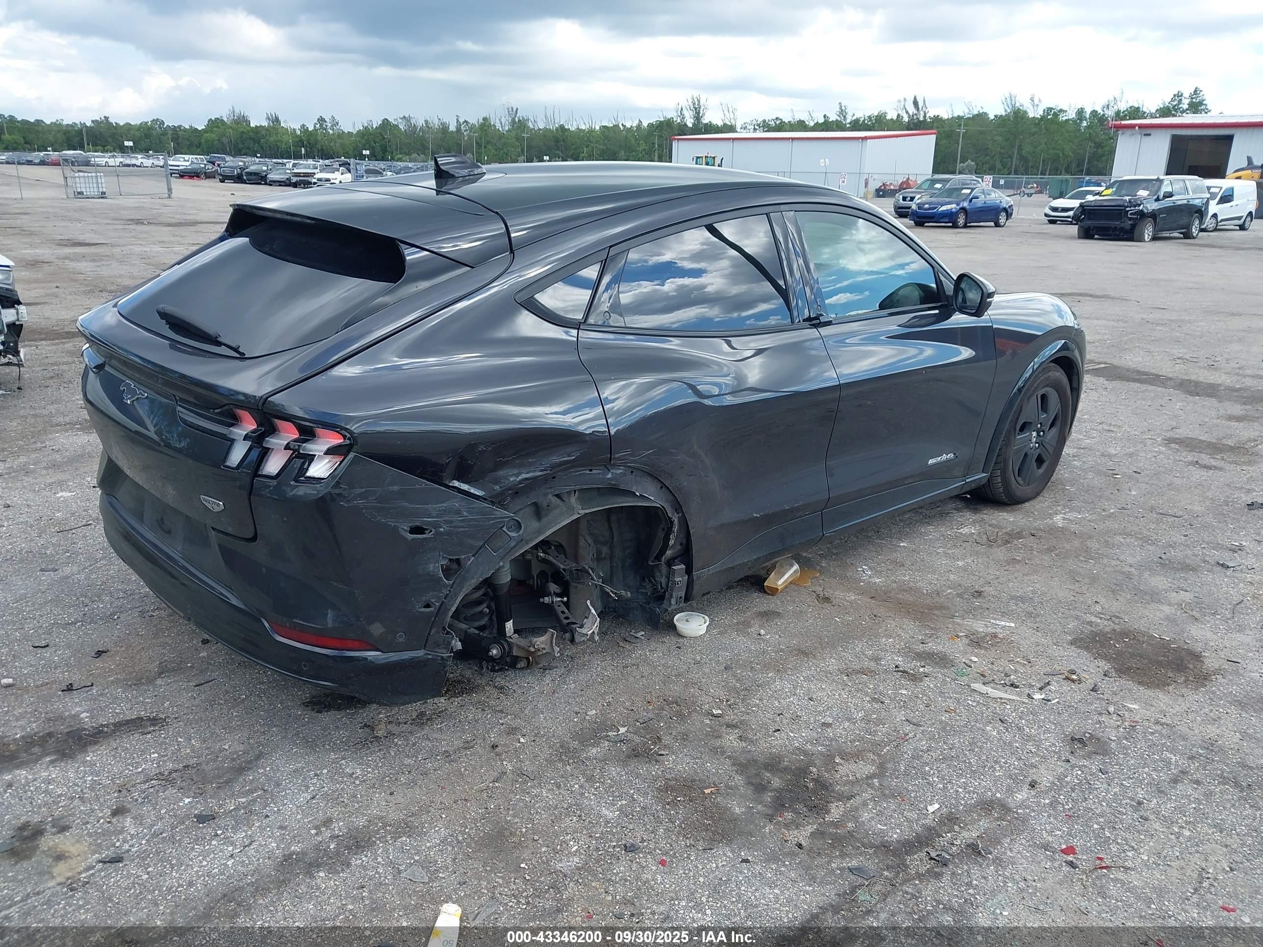 FORD MUSTANG image 4