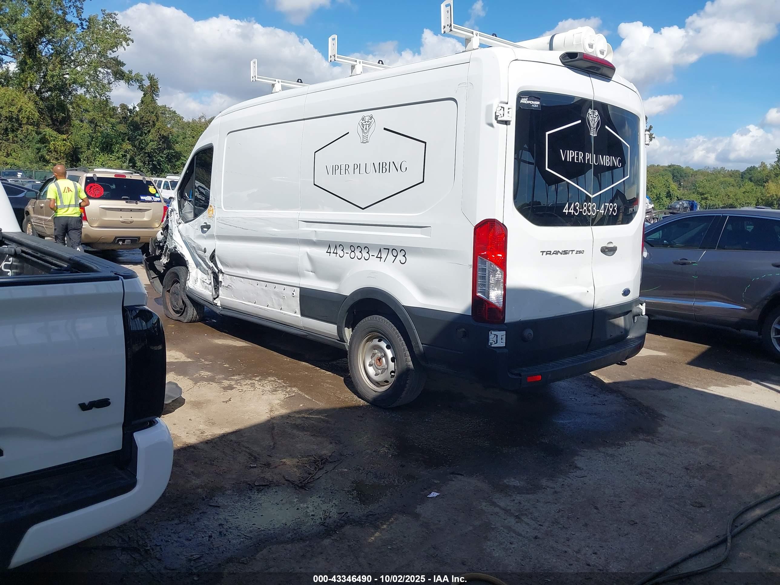 FORD TRANSIT-250 image 3