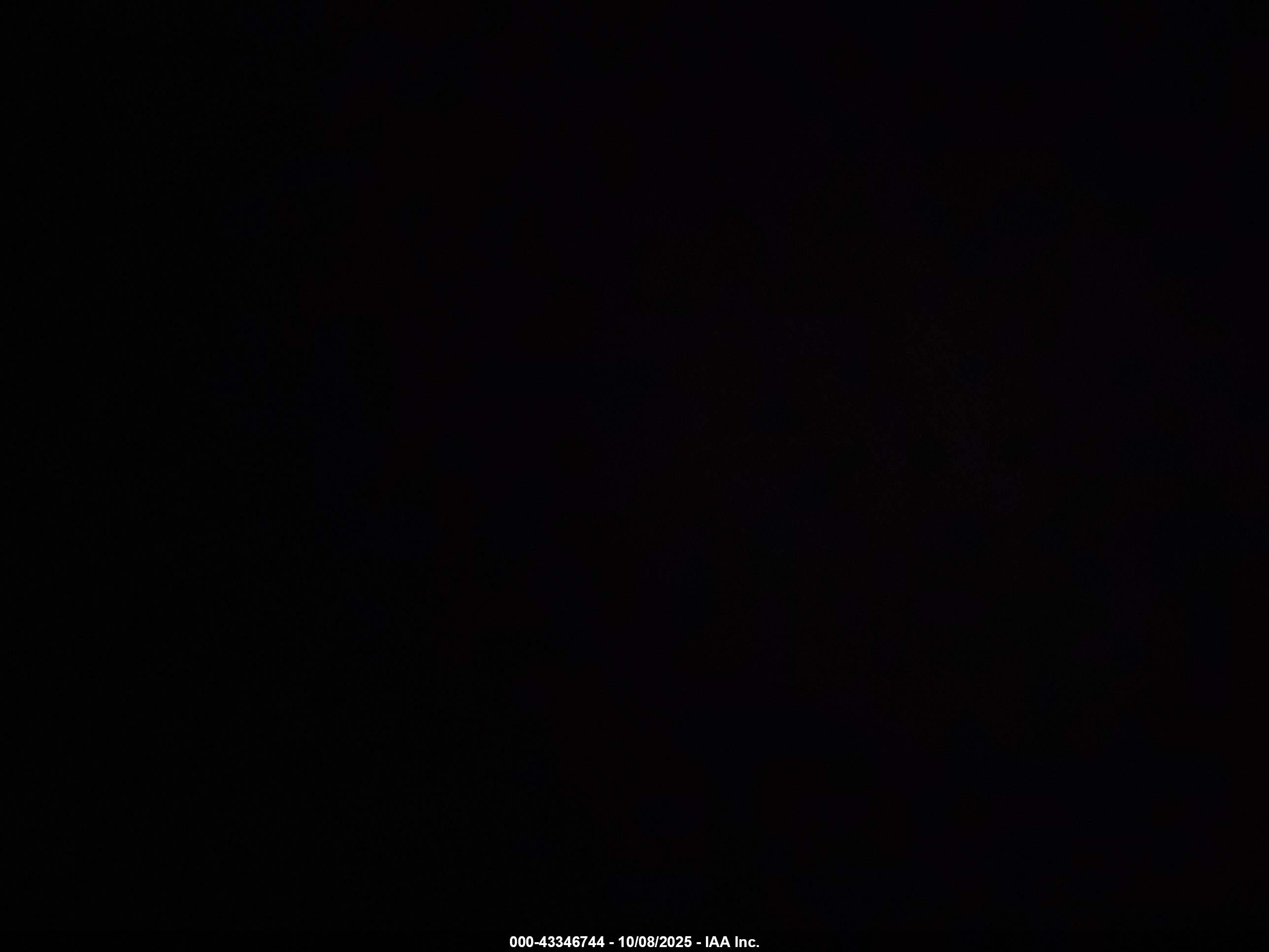 PALOMINO MAVERICK image 7
