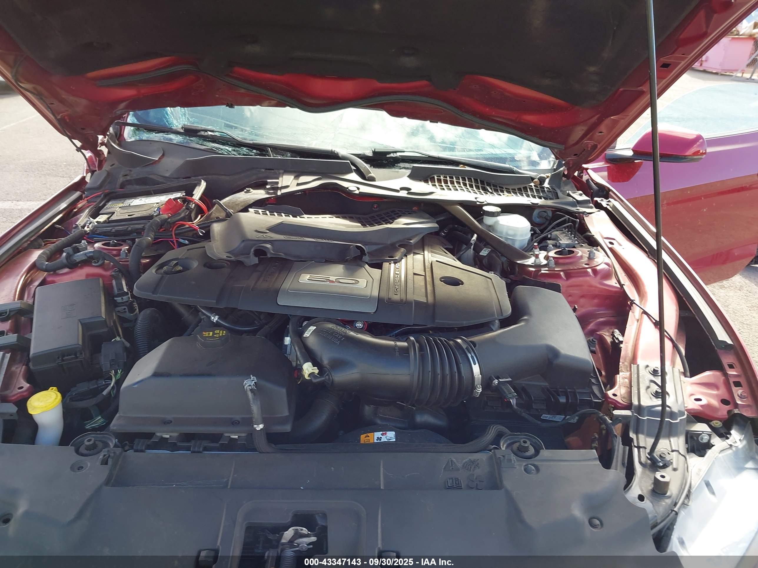 FORD MUSTANG image 10