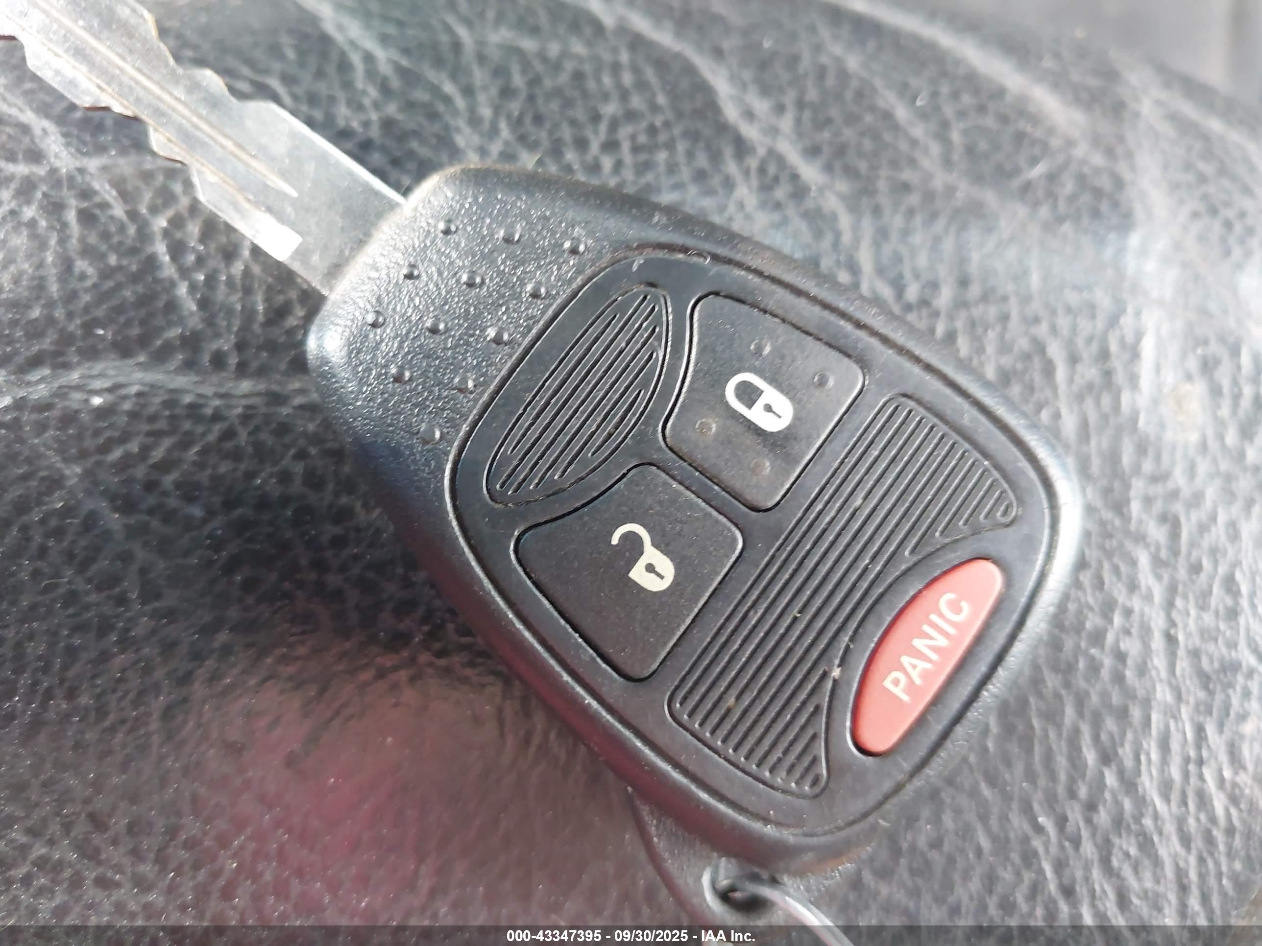 JEEP WRANGLER image 11