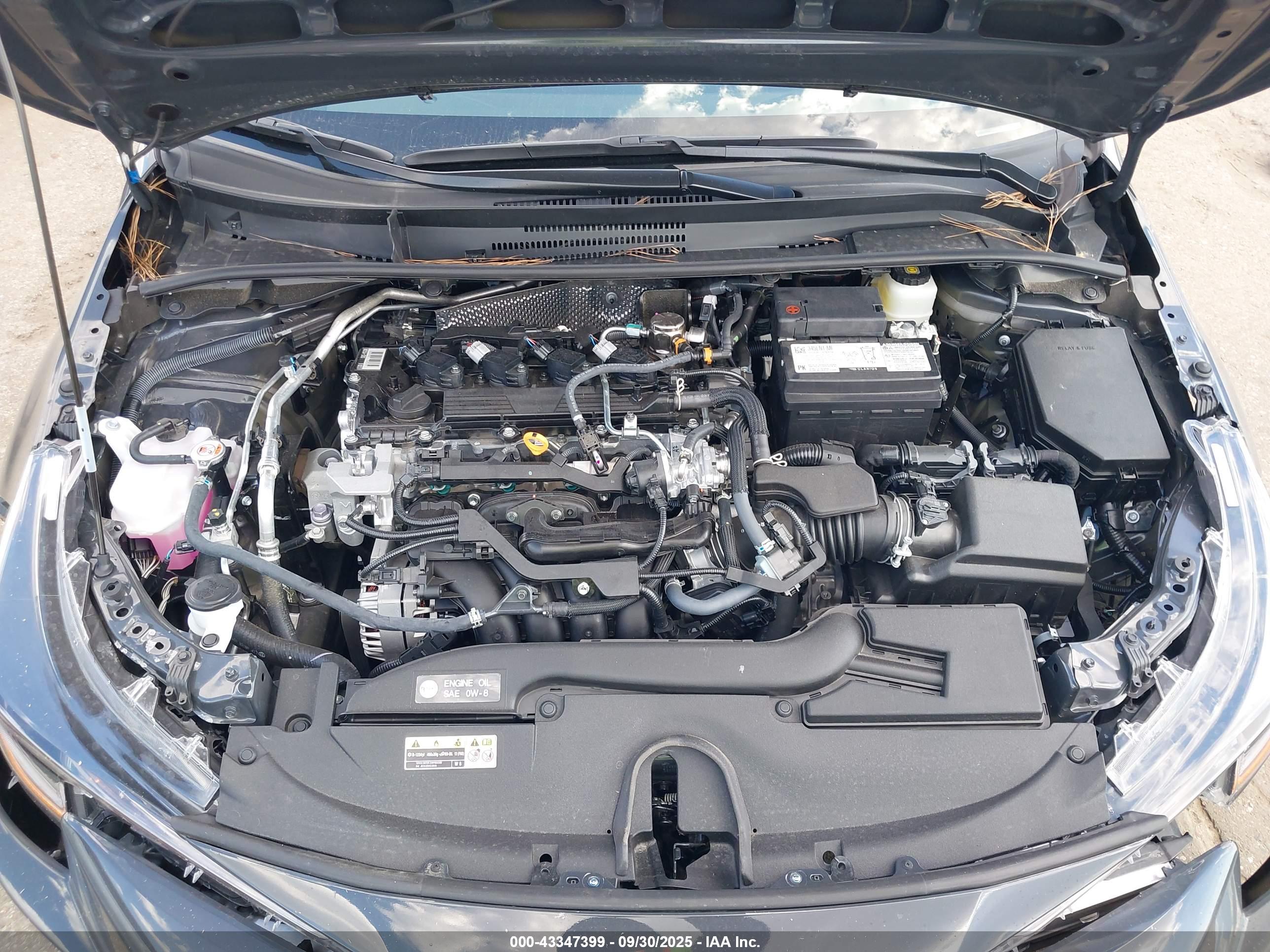 TOYOTA COROLLA image 10
