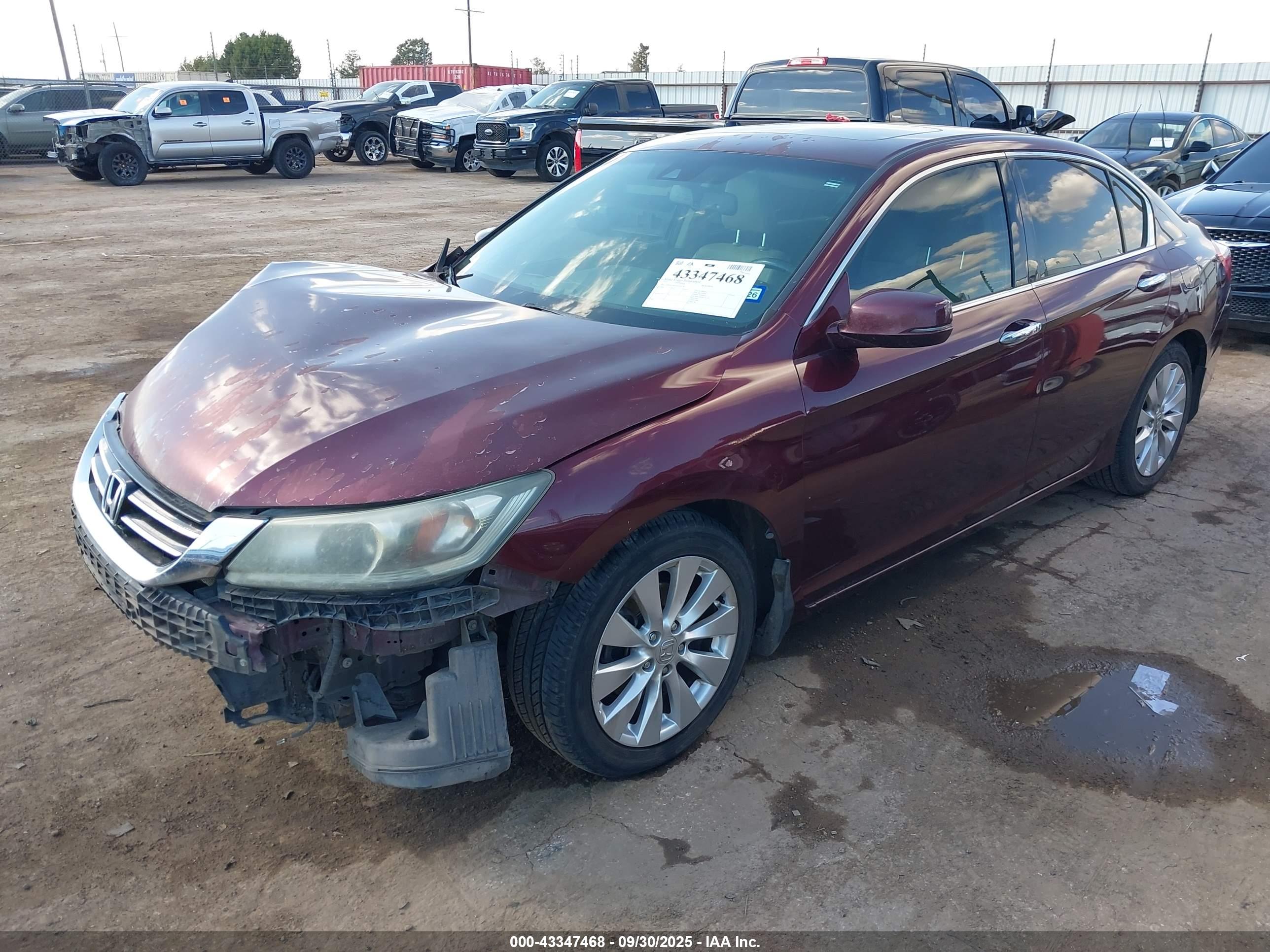 HONDA ACCORD image 2