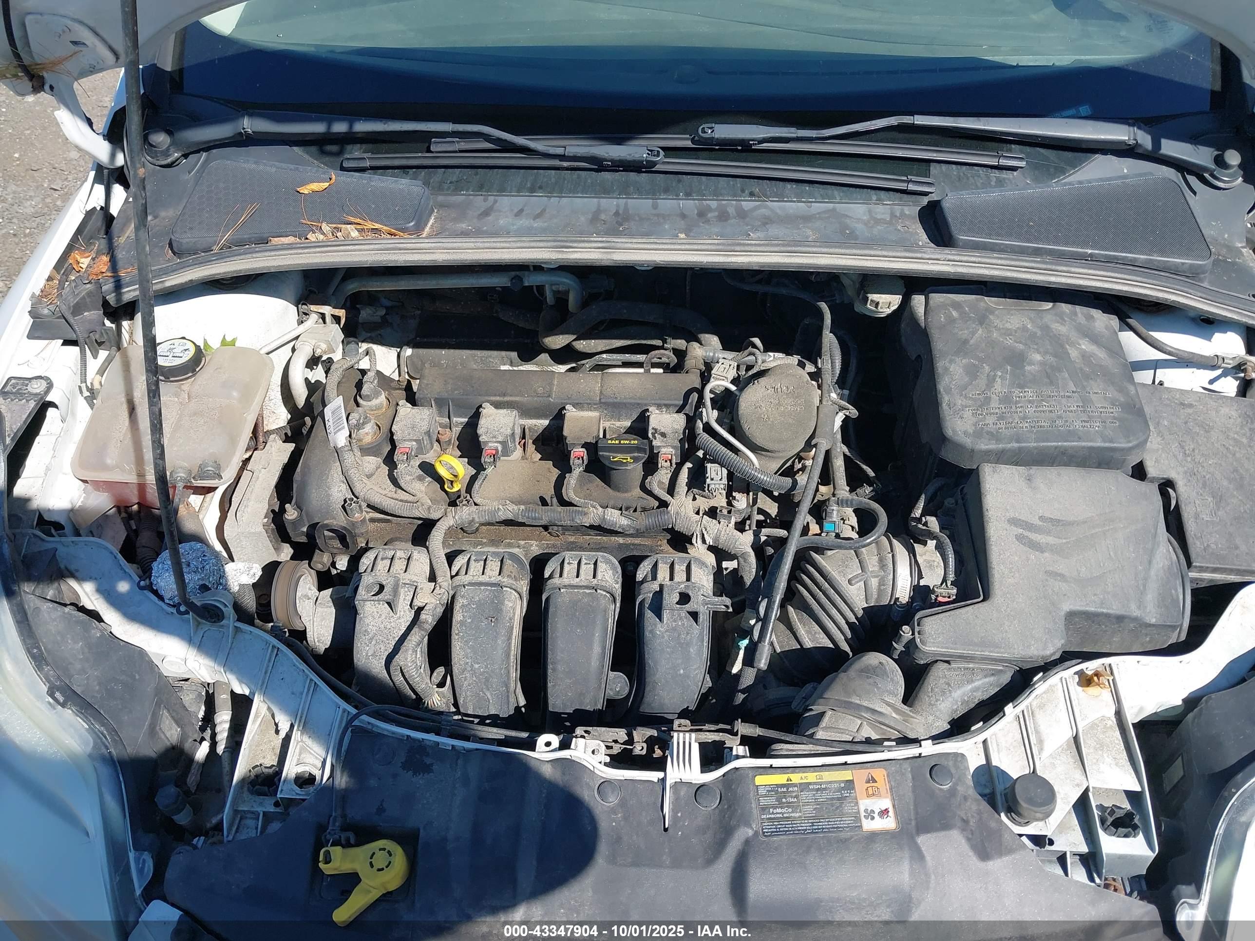 FORD FOCUS image 10