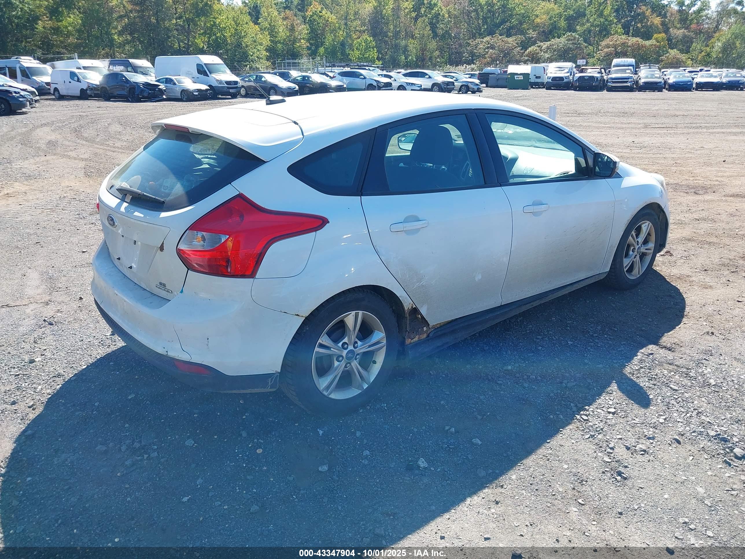 FORD FOCUS image 4