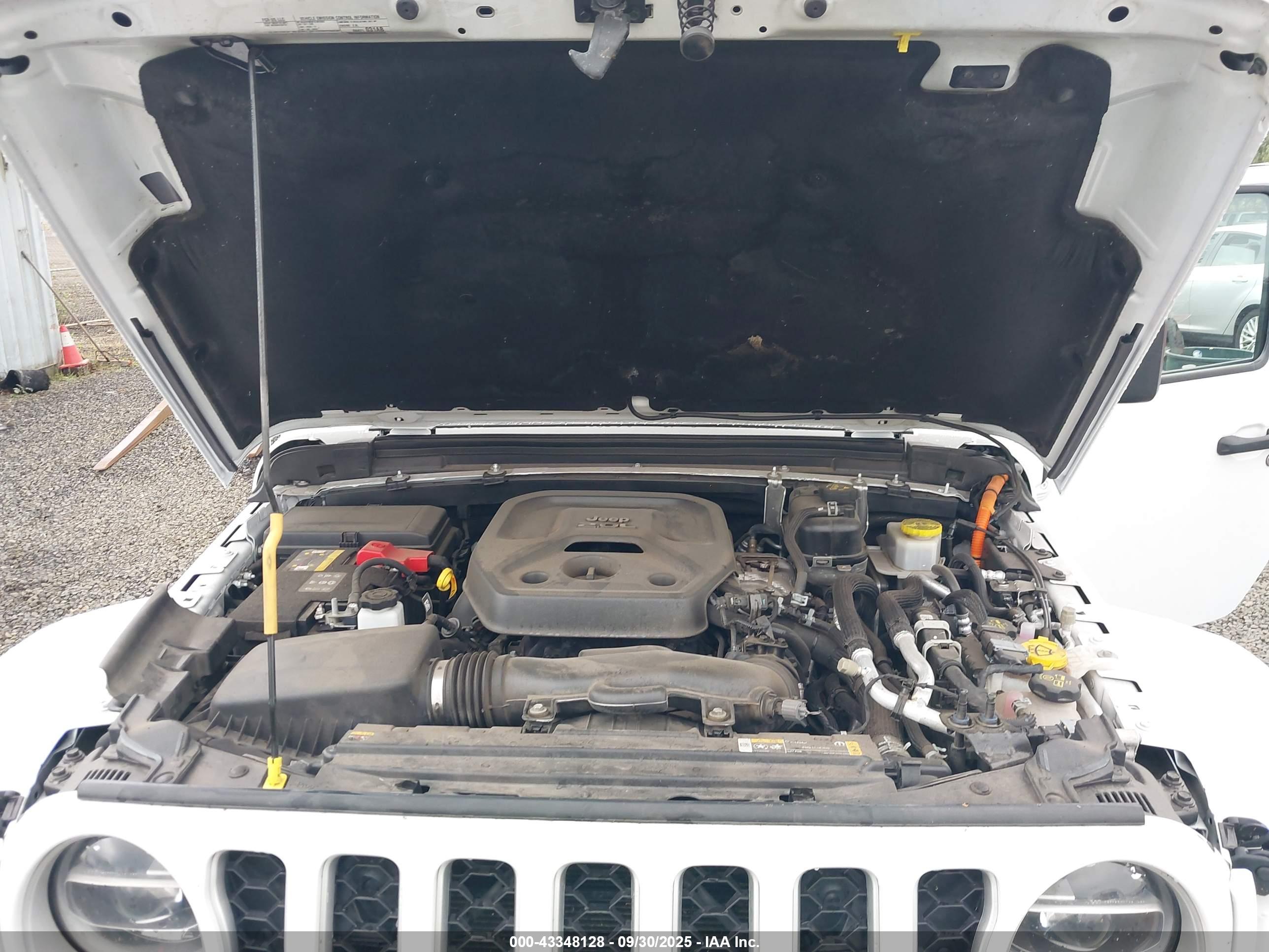 JEEP WRANGLER image 10