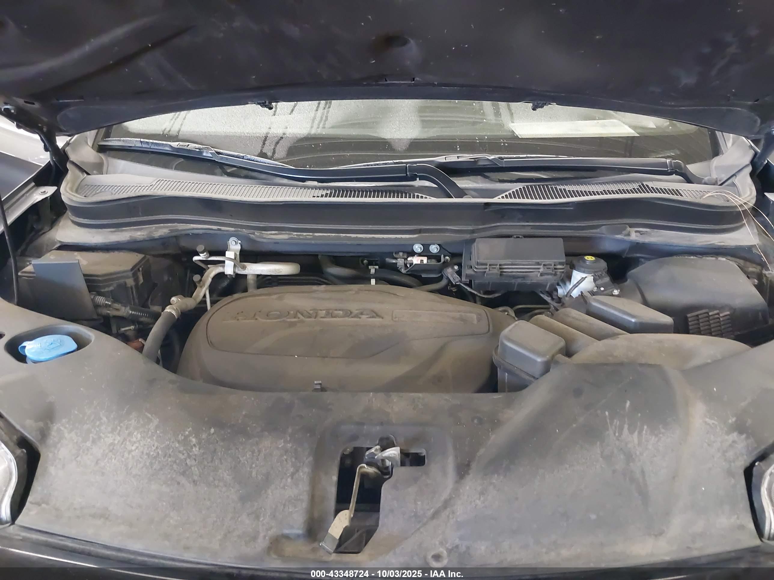 HONDA PASSPORT image 10
