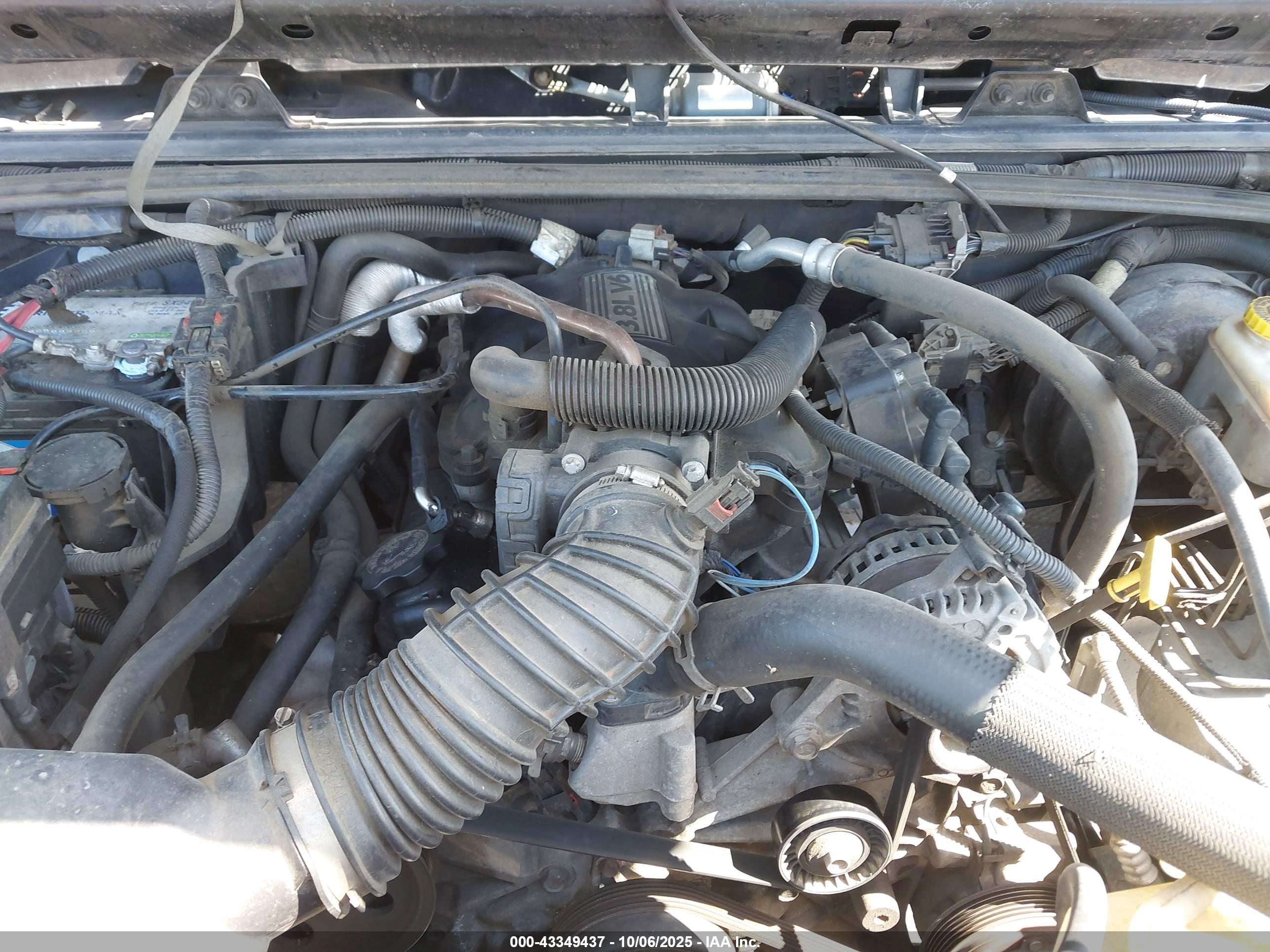 JEEP WRANGLER image 10