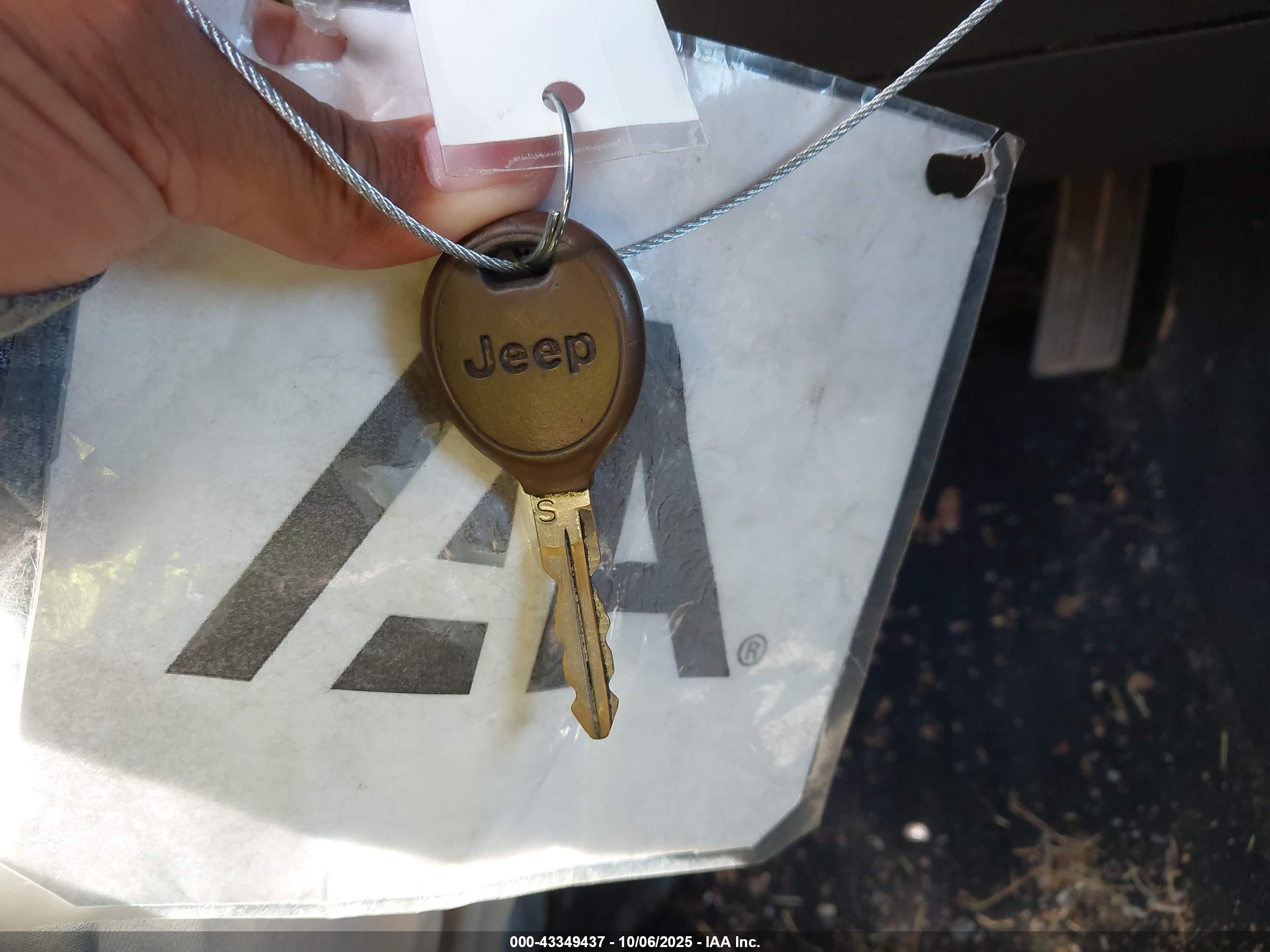 JEEP WRANGLER image 11