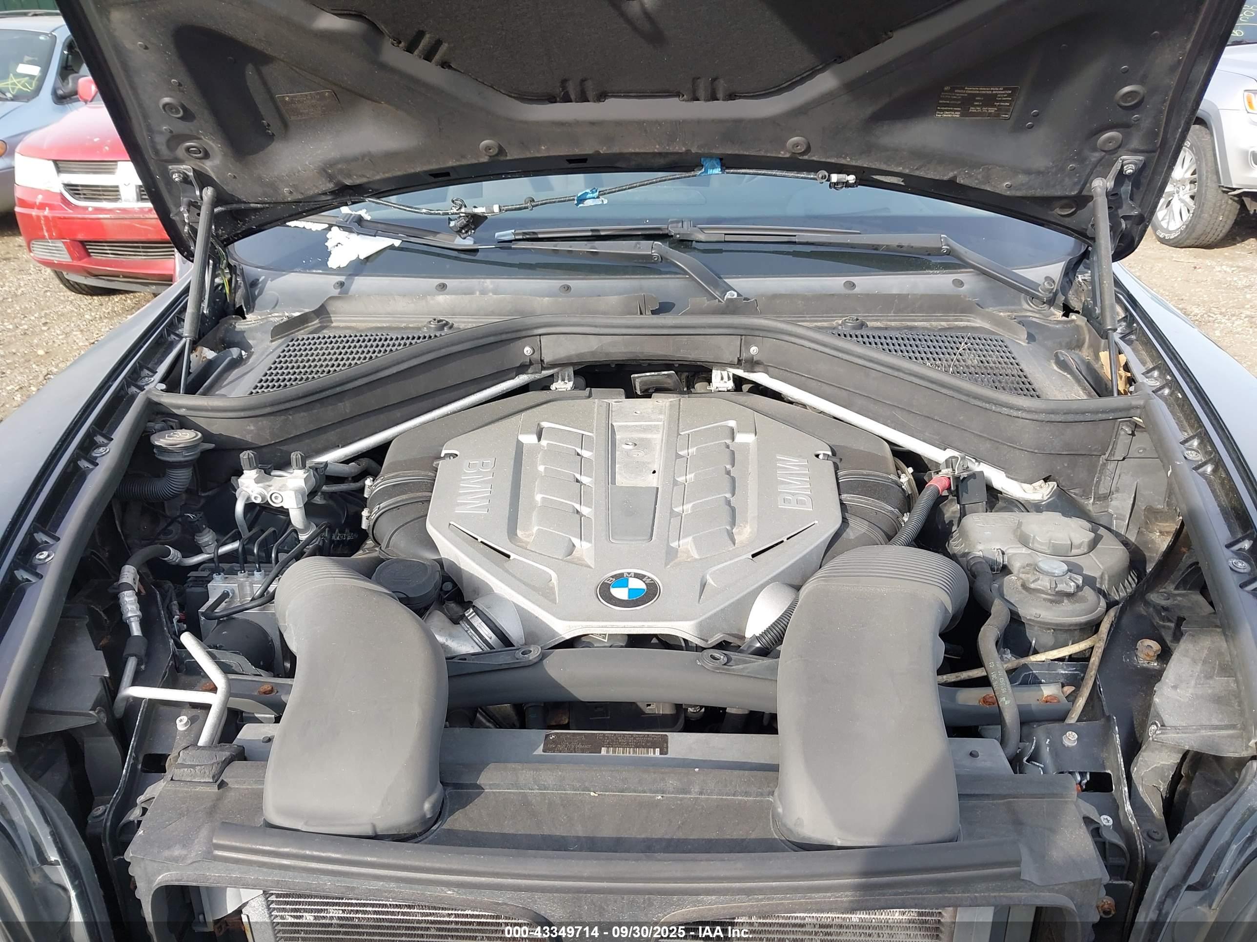 BMW X6 image 10