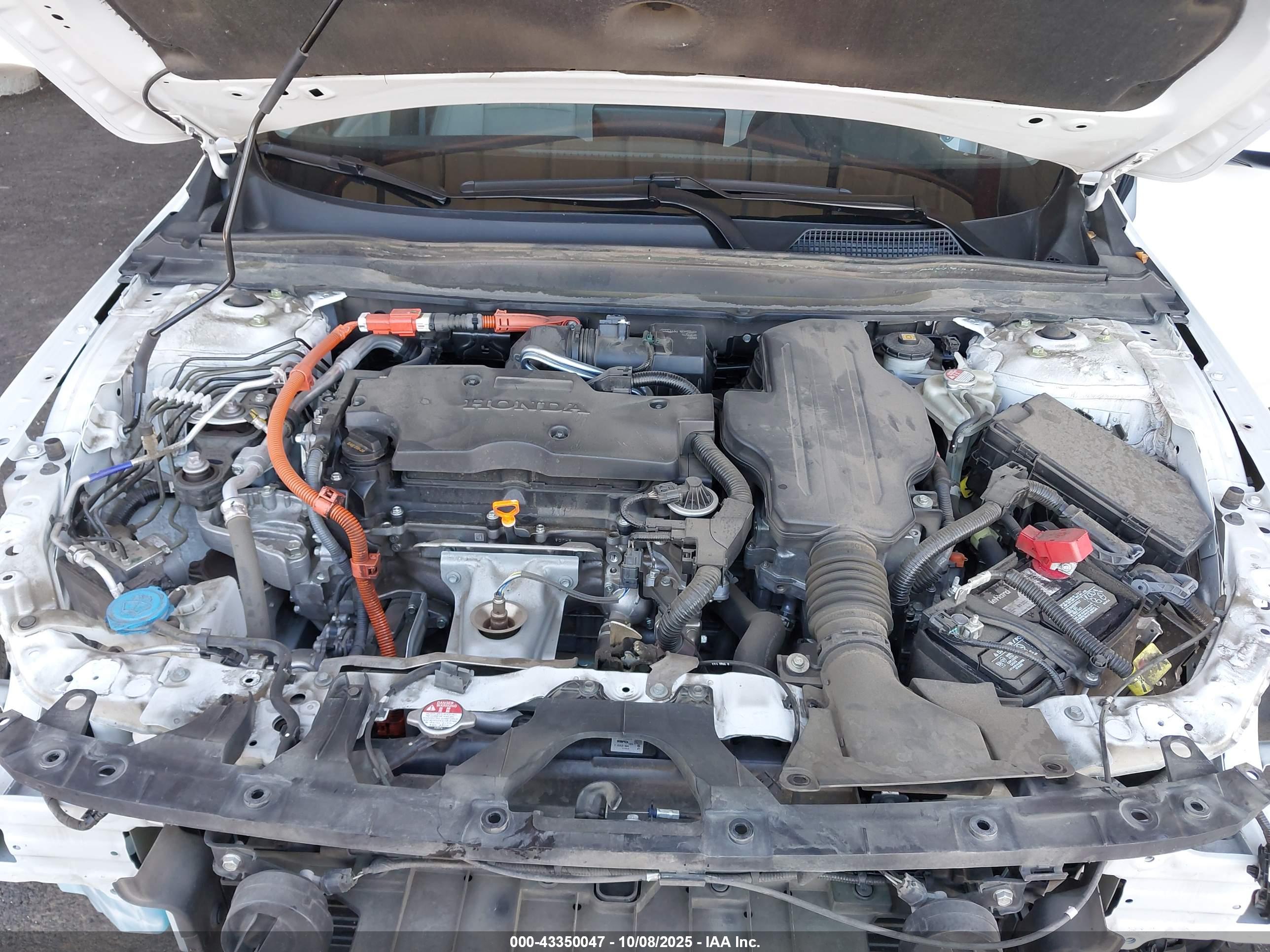 HONDA ACCORD image 10