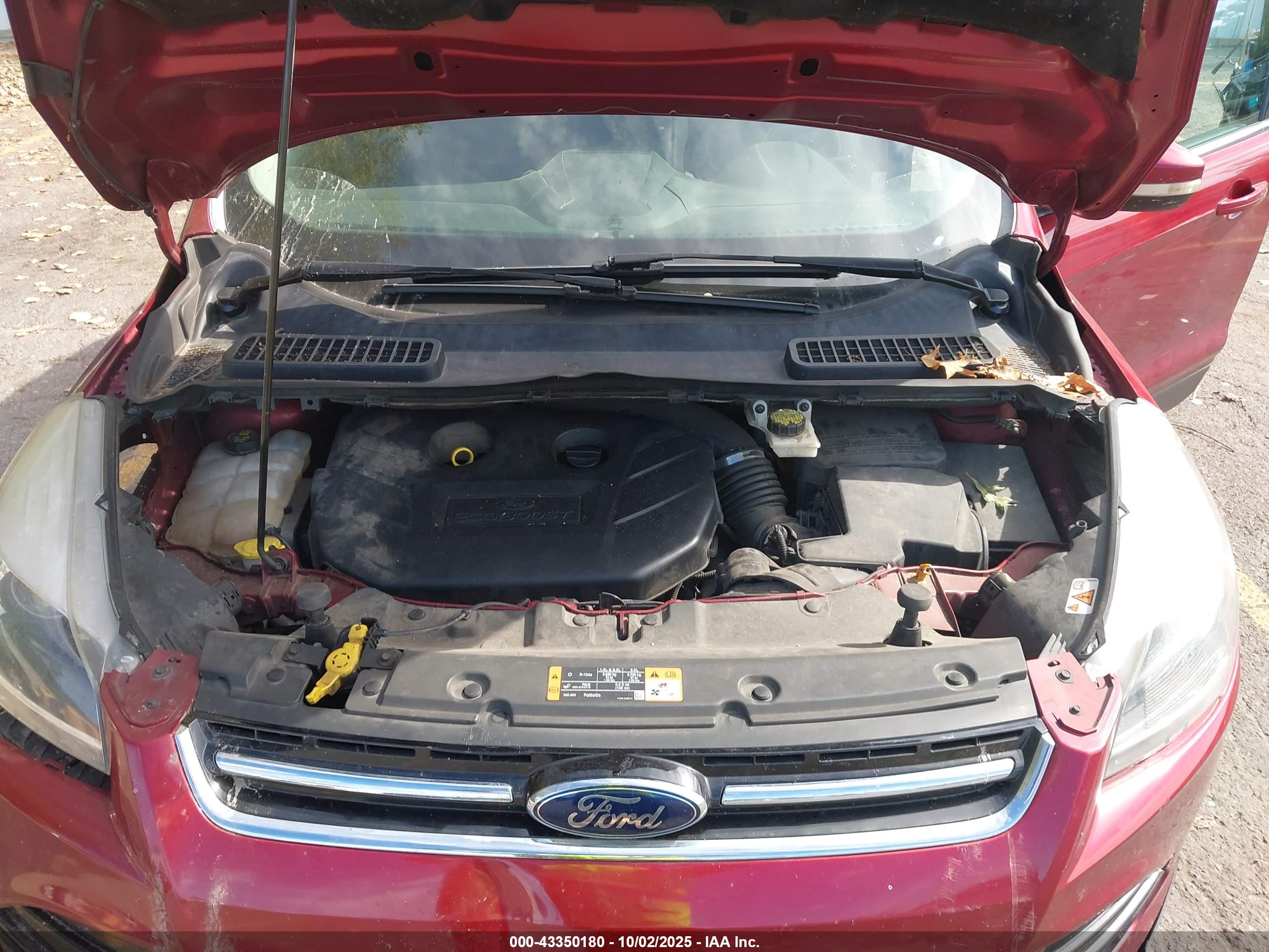 FORD ESCAPE image 10