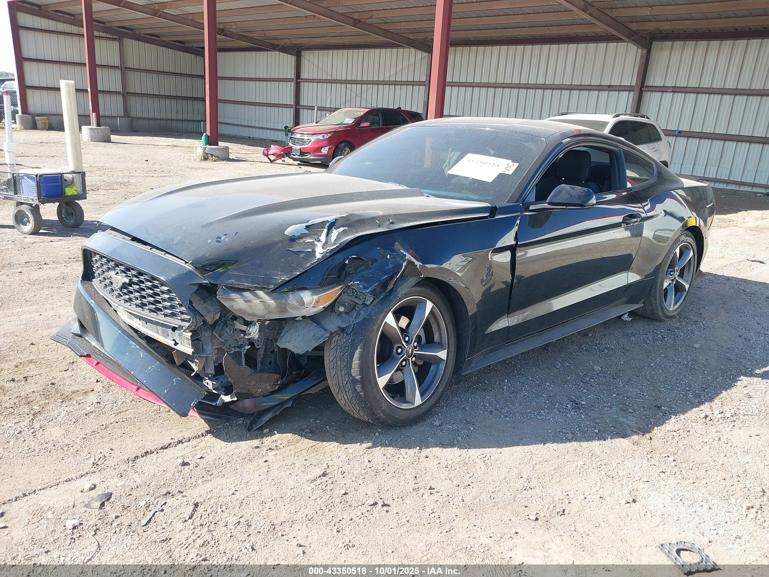 FORD MUSTANG image 2