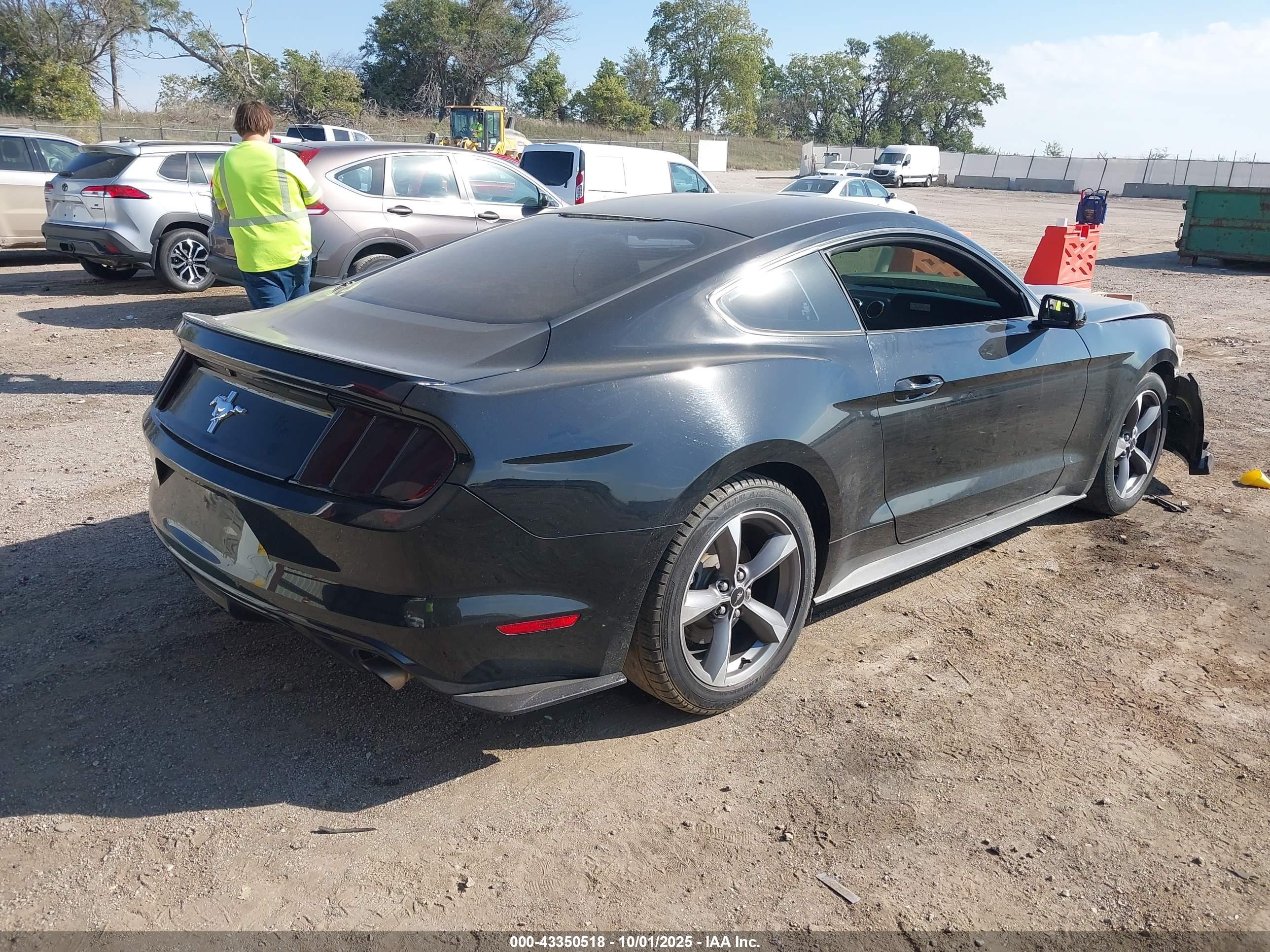 FORD MUSTANG image 4